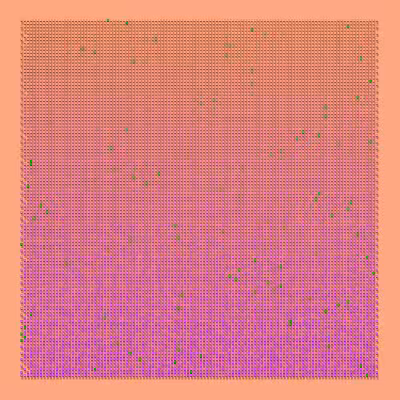 Hard Candy #33