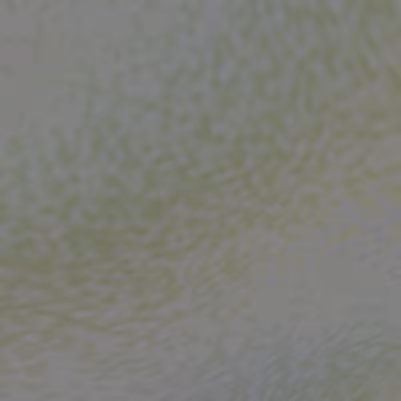 Noise Corals #80