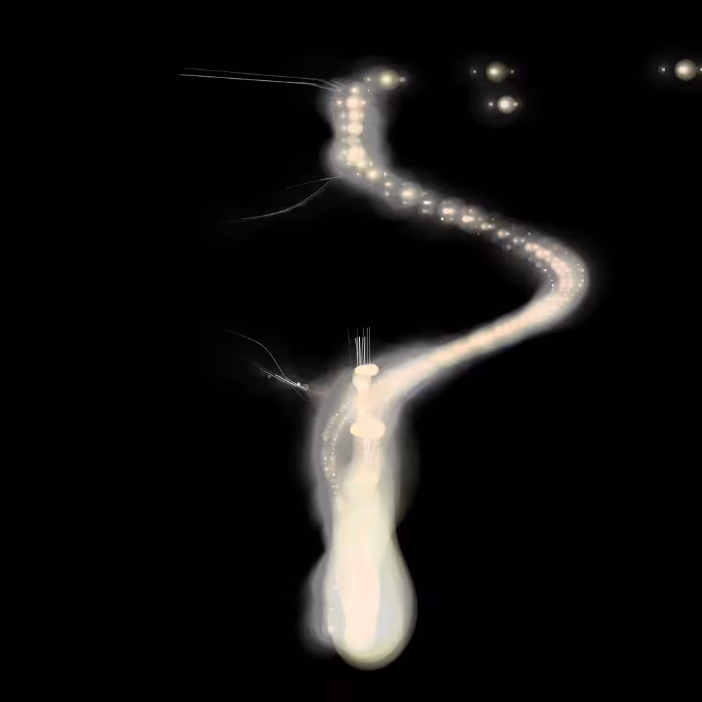 Spectral Being 539