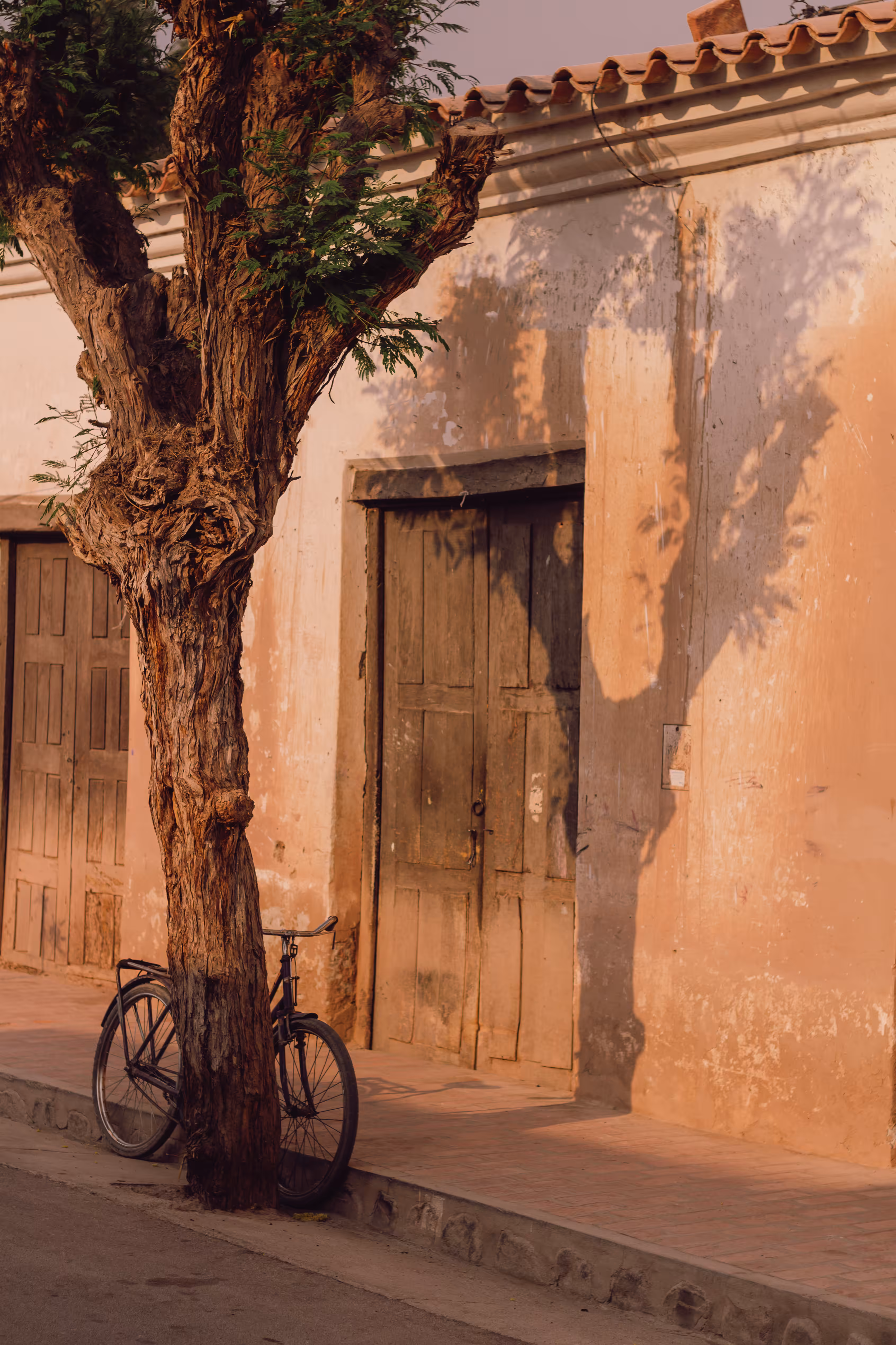 "Tarde en Bicicleta" - Salta la Linda