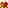 Flower 003