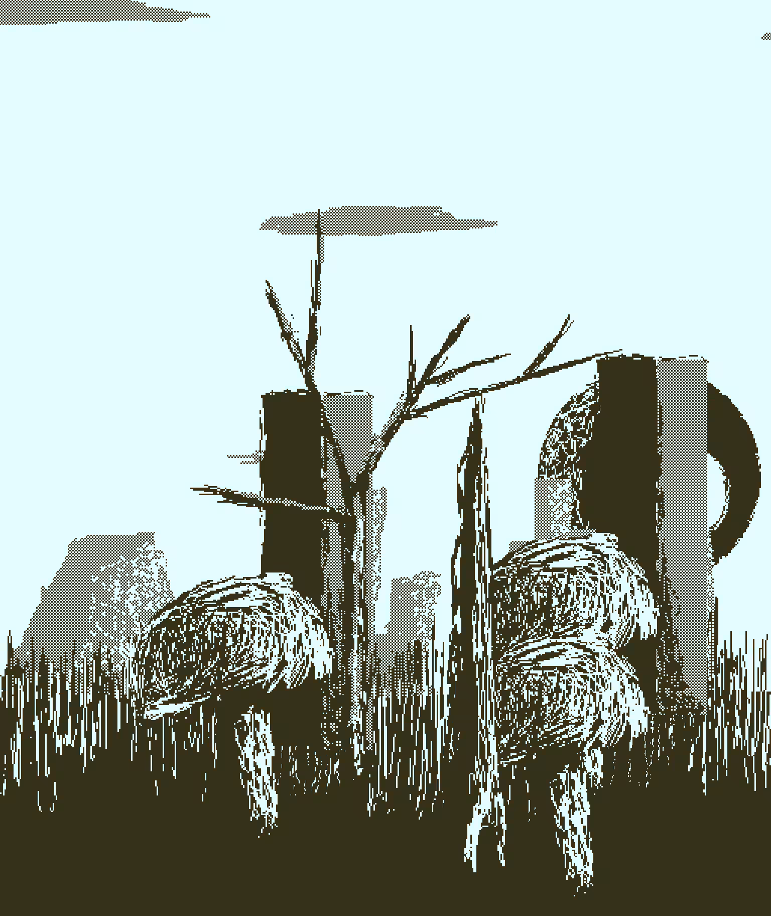 1Bit Fields #19