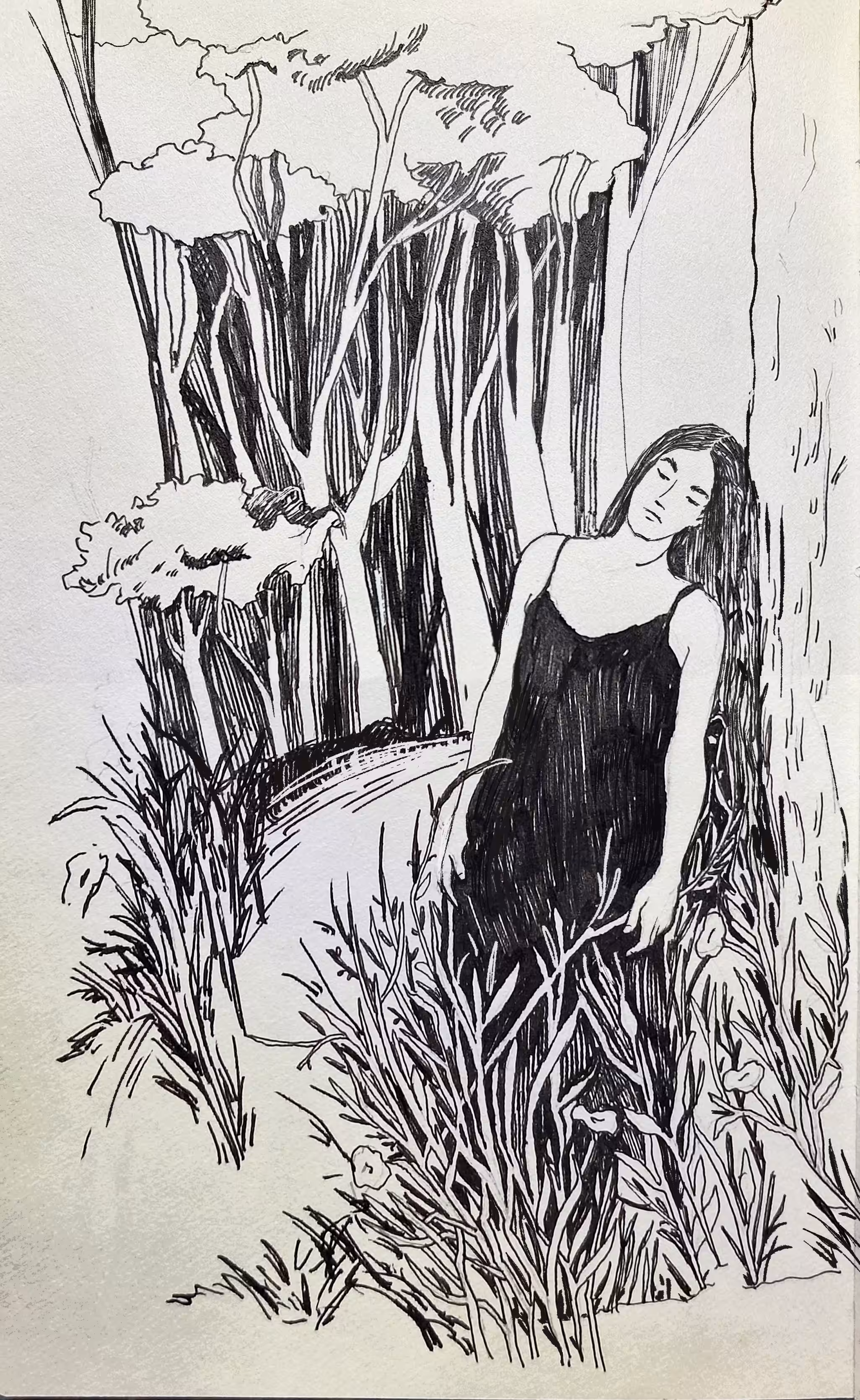 Dreaming in the Grove