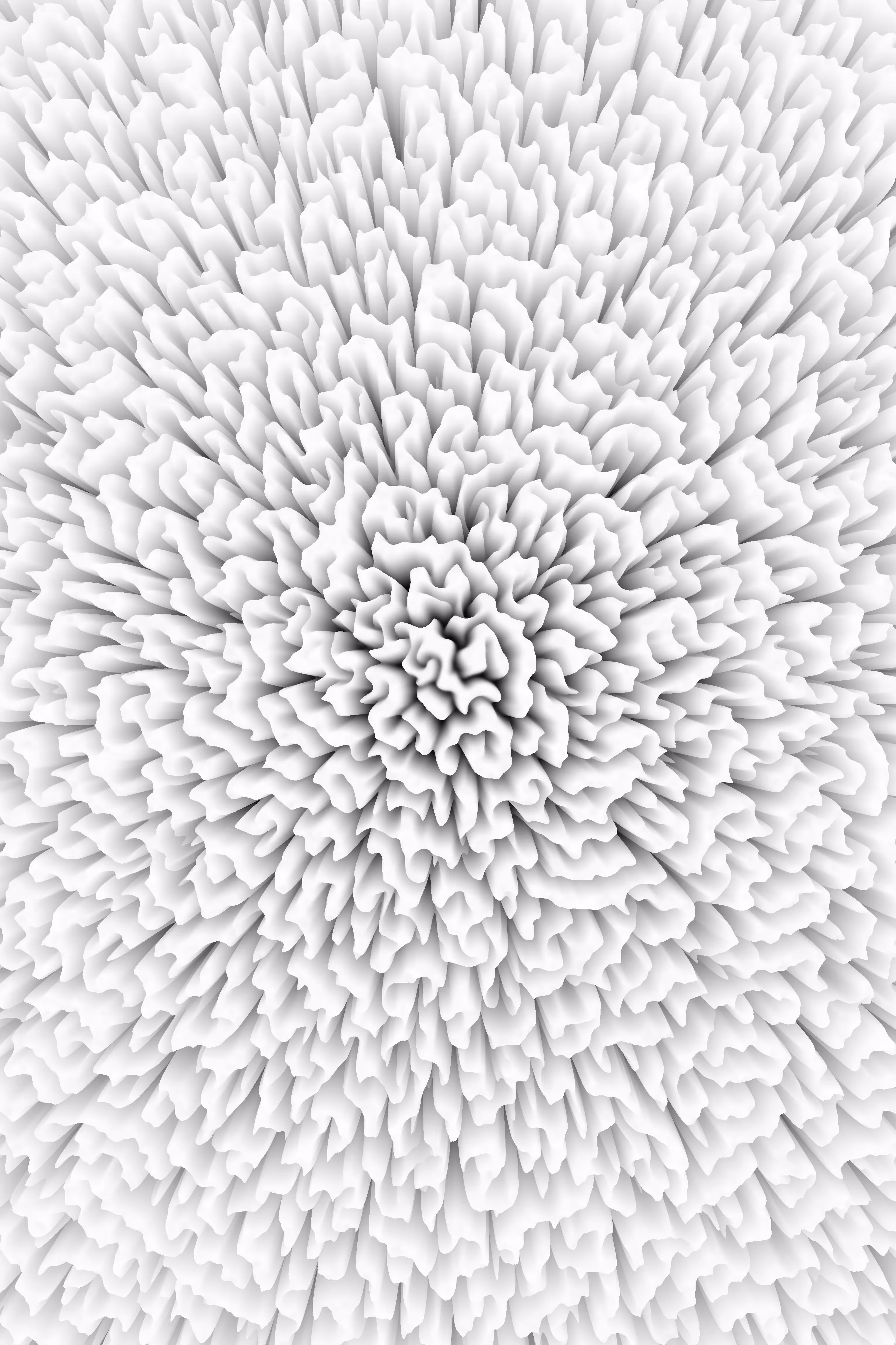 sponge
