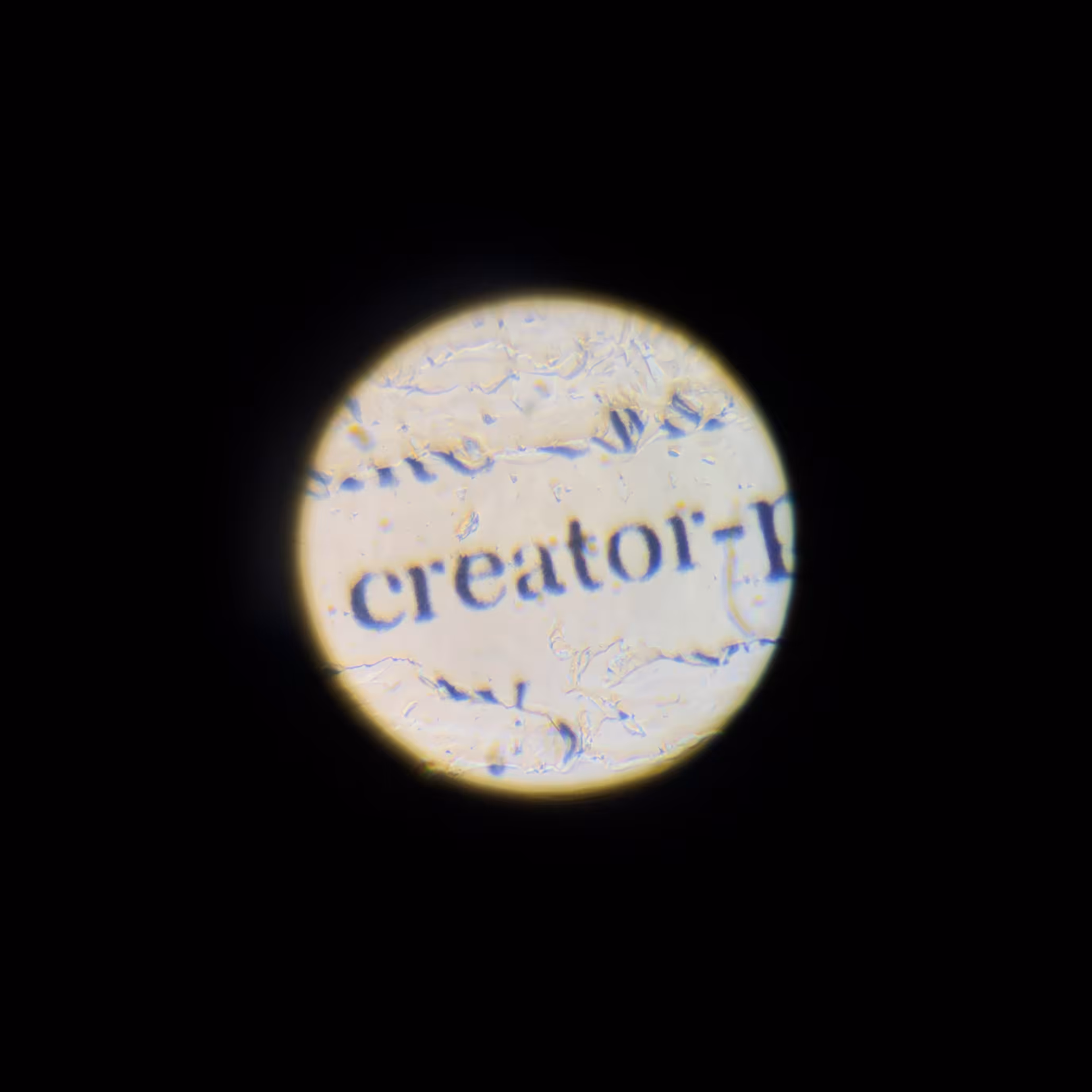 the creator-poet