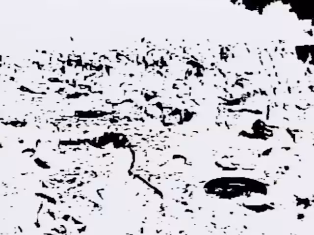 DIRTY TV / DIRTY NORMANDY LANDINGS   BEACH