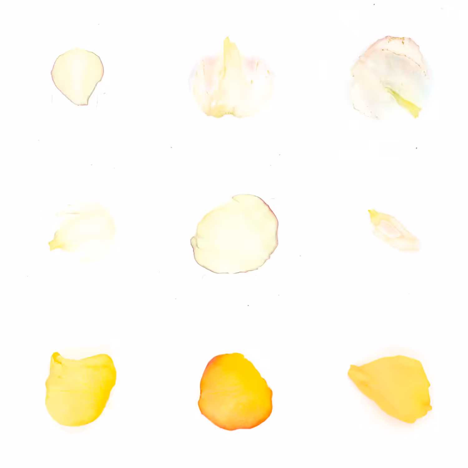 Infinite Petals 3x3#185
