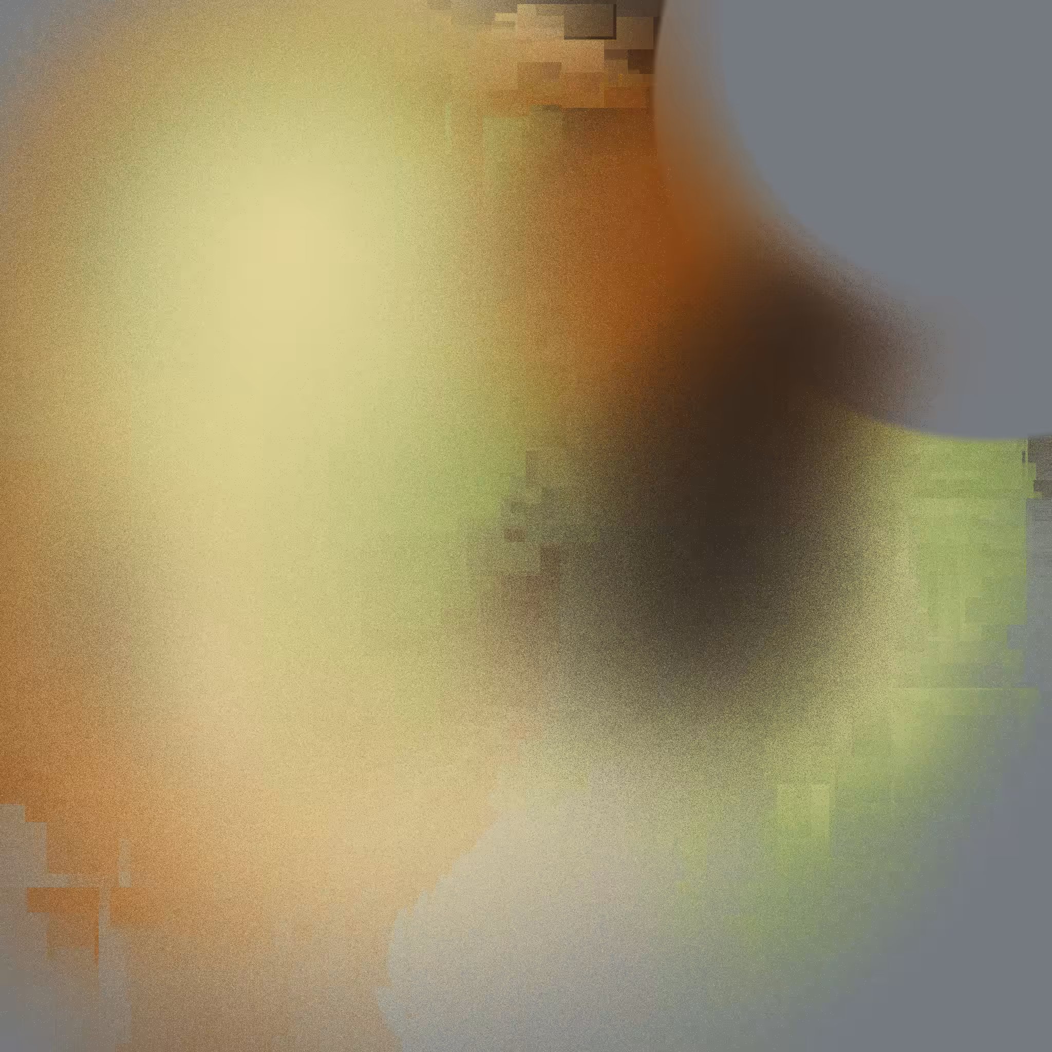 Internal Reflector #4