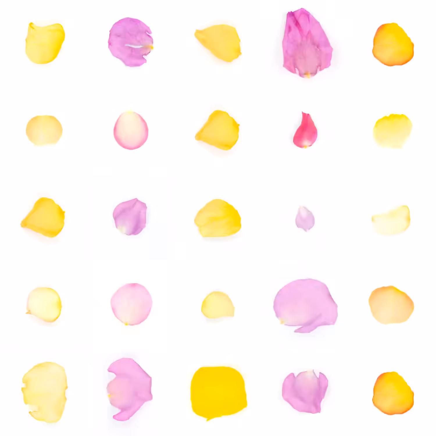 Infinite Petals 5x5#20174