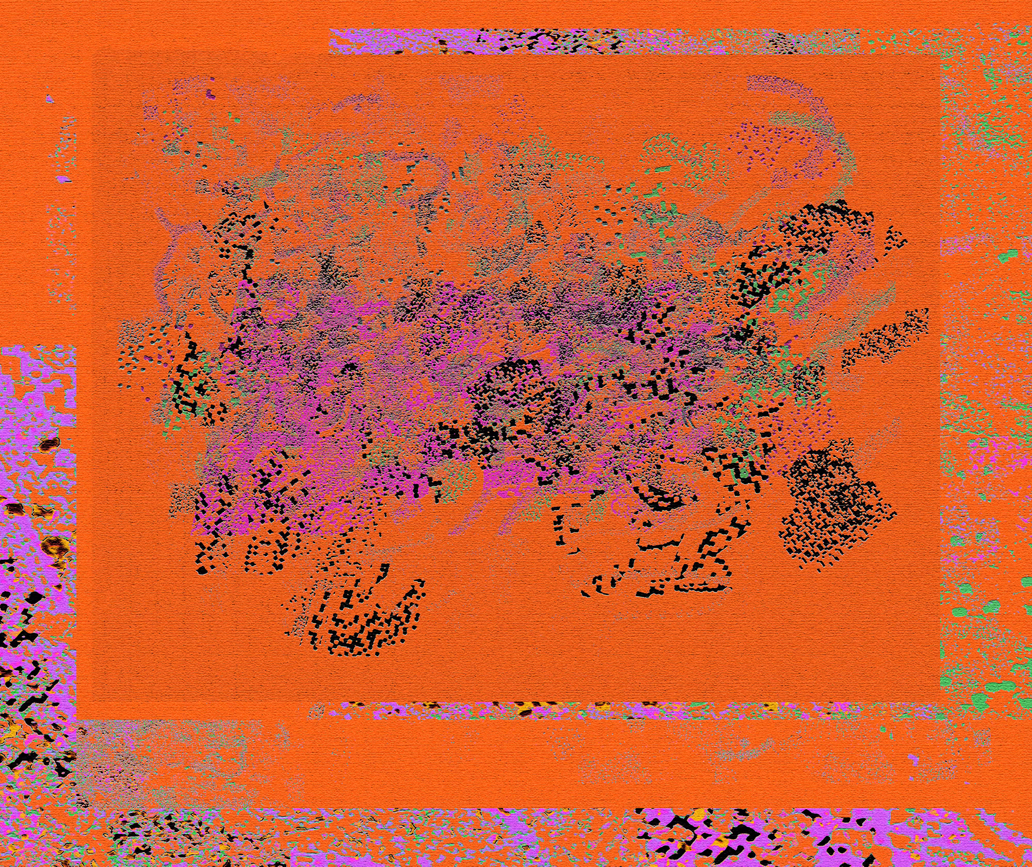 Flecked Cosmos