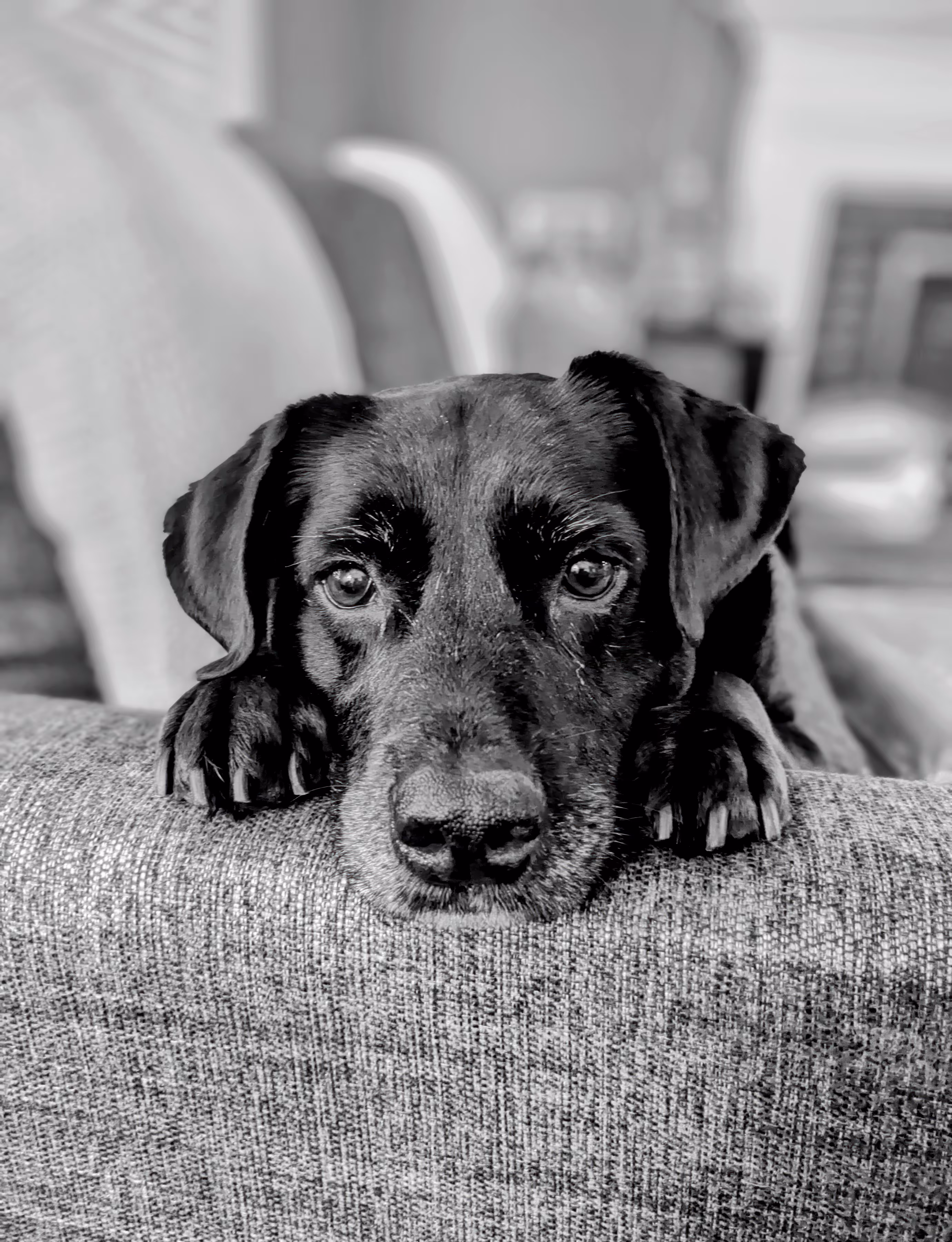 The Stare