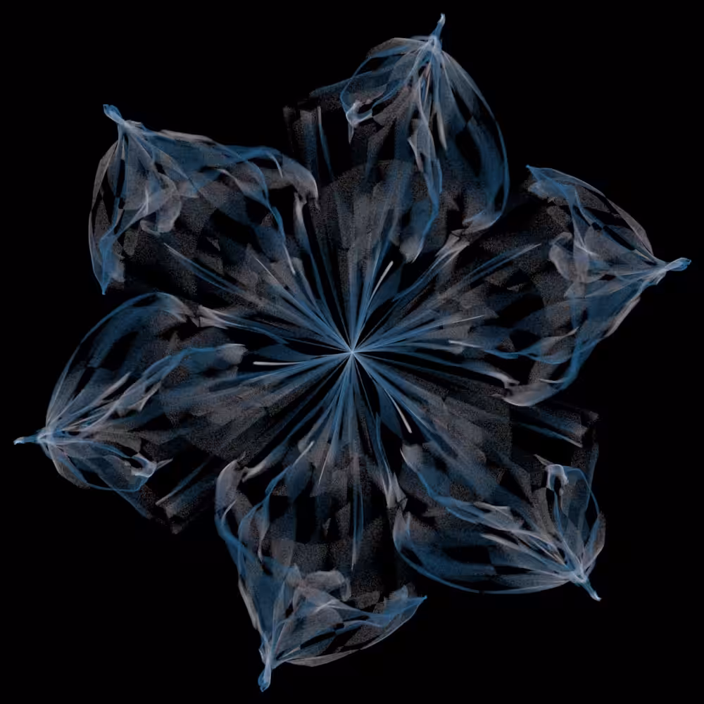 black sky: Bloom