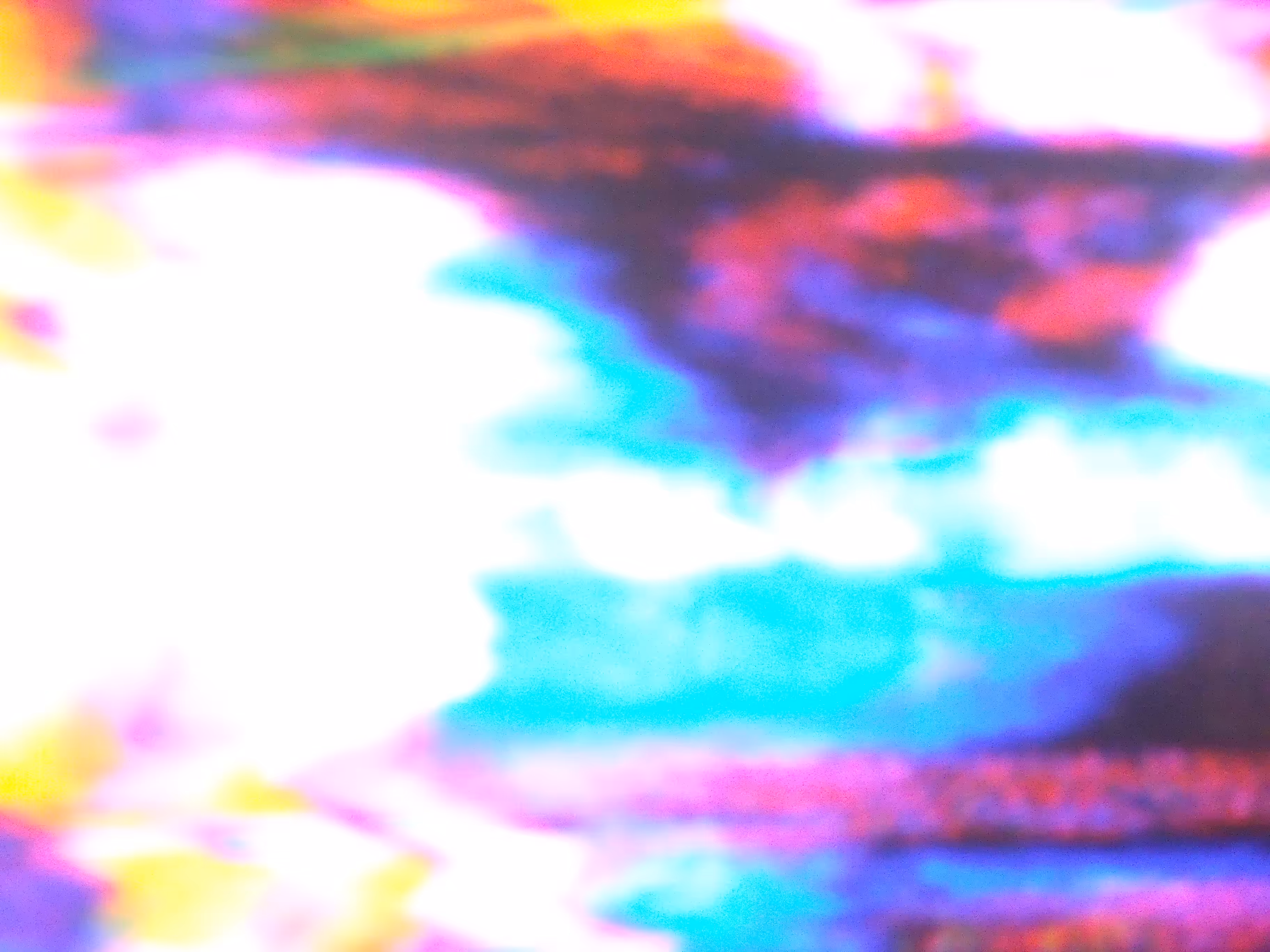 VHS #8
