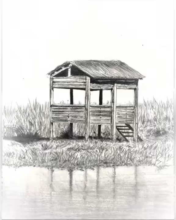 A Shed in Doñana Grasslands