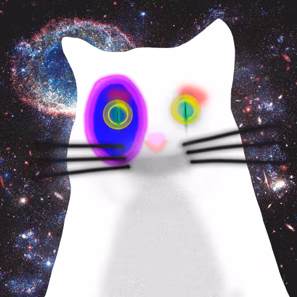 Quantum Cats #2323