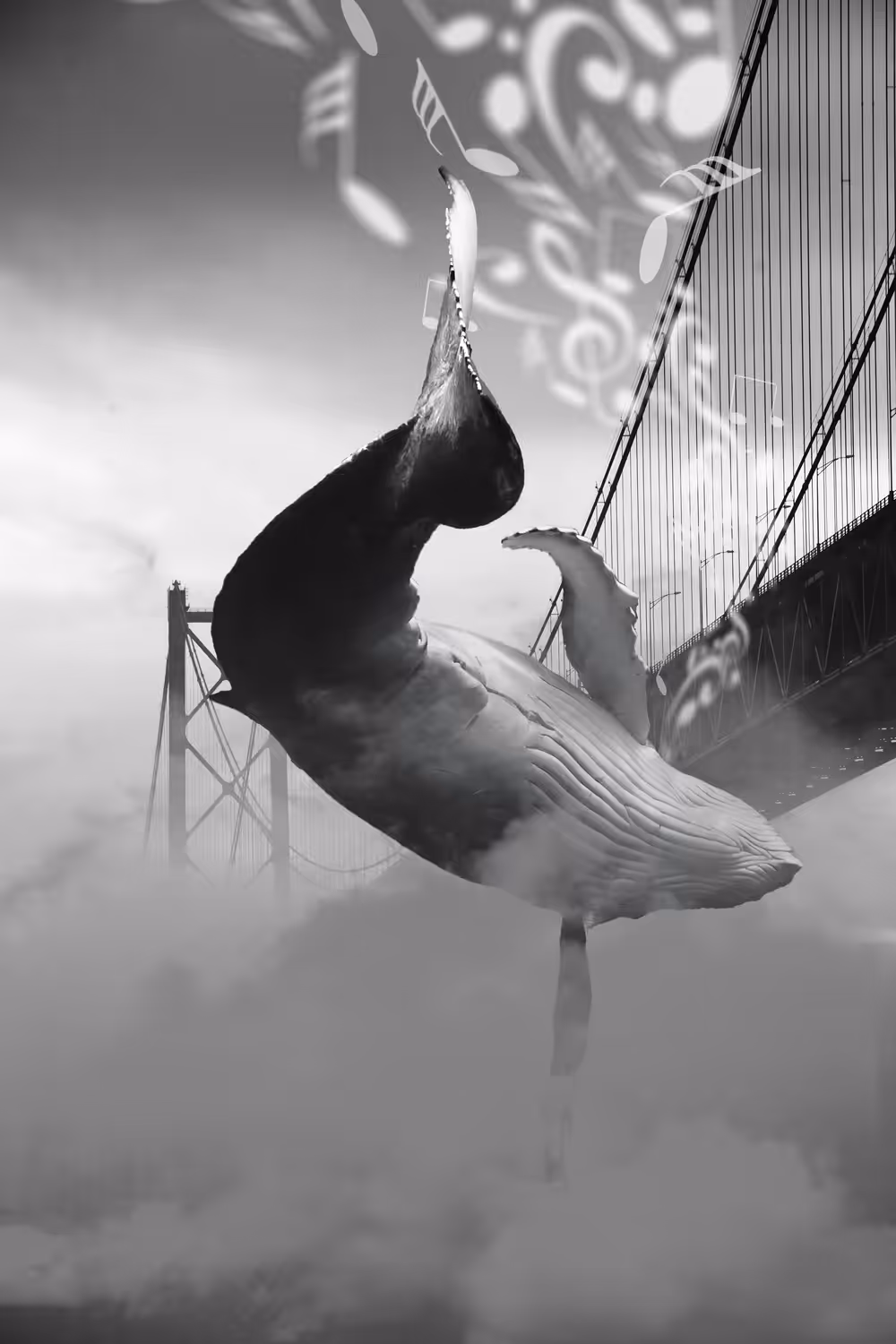 Whale Music under the Golden Gate Bridge