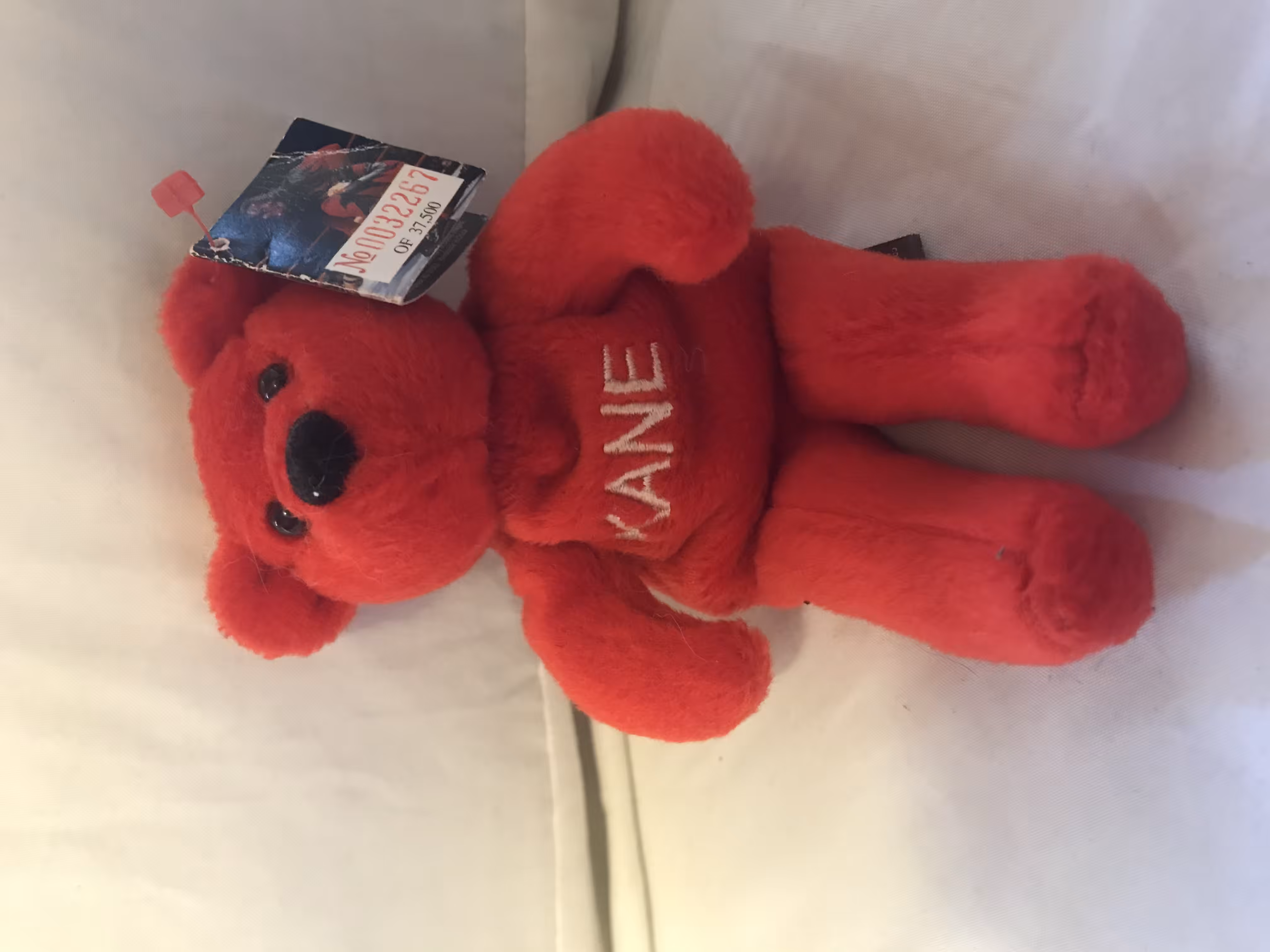 WWF Kane Beanie Baby 