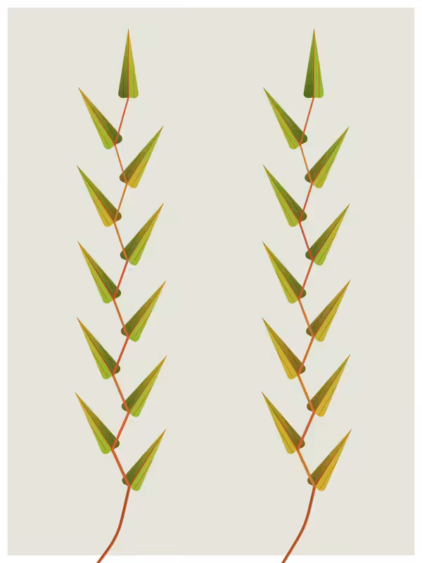 Leaves #47