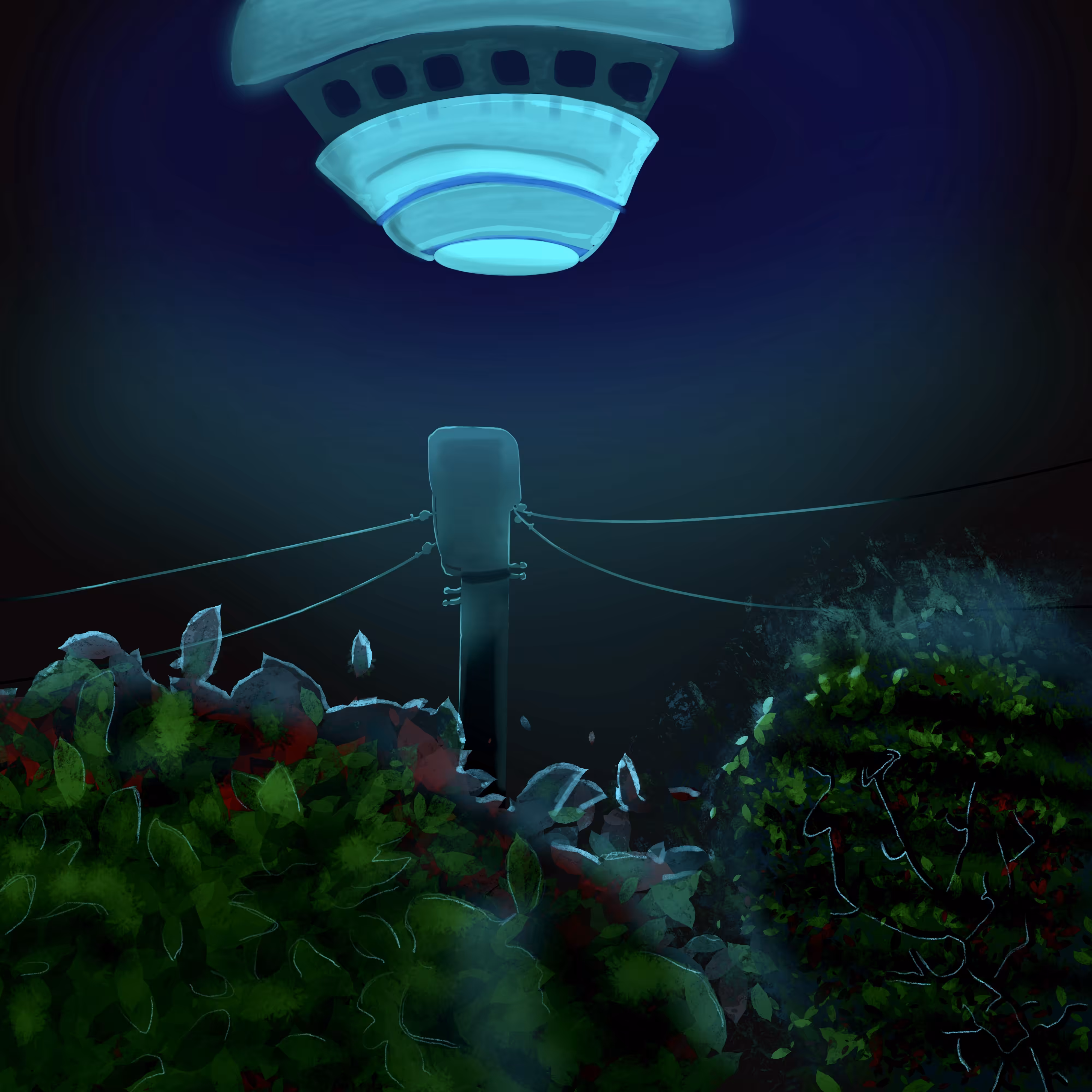 The Gulf Breeze UFO Incident