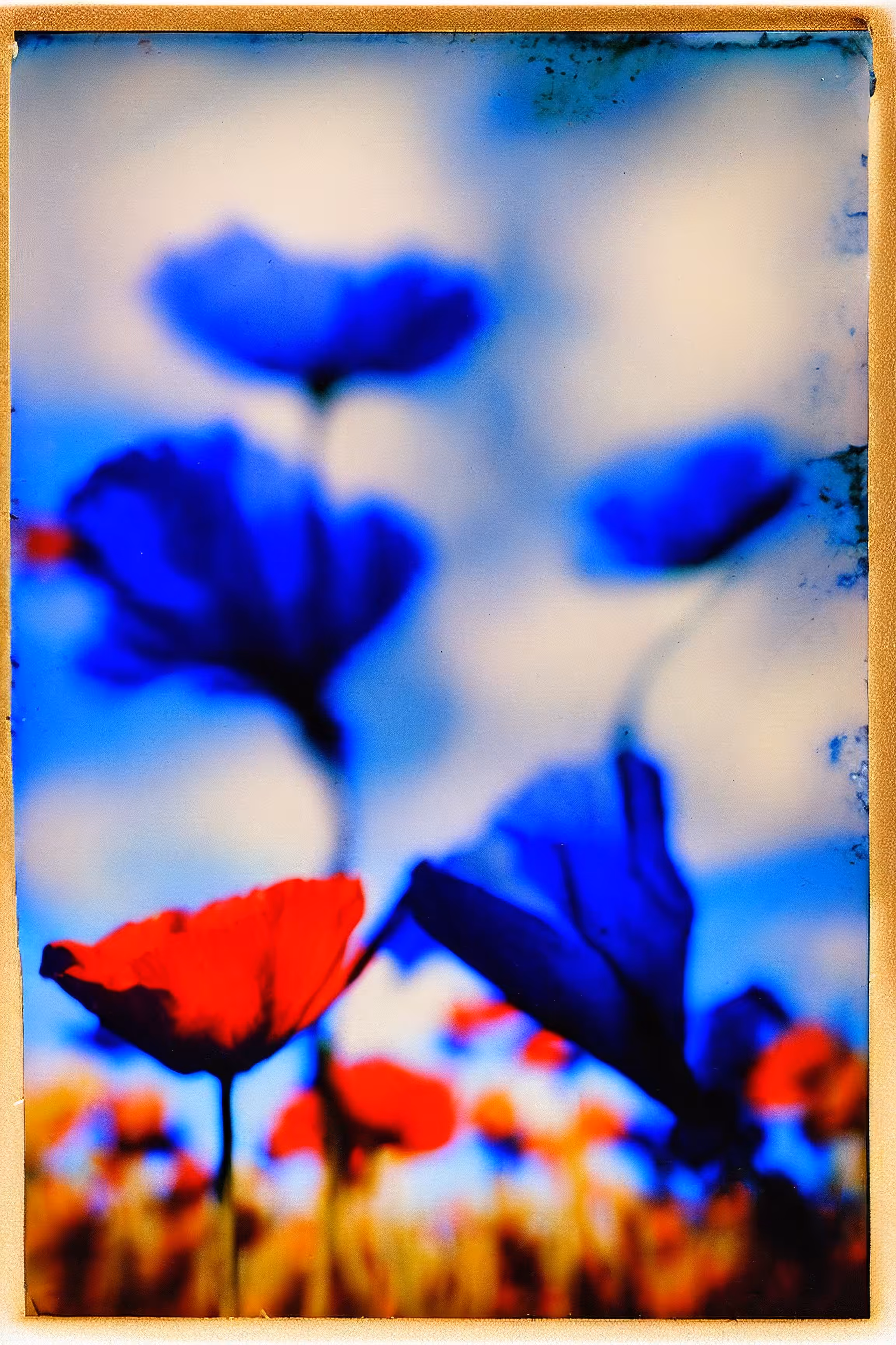 Utopia Found #21