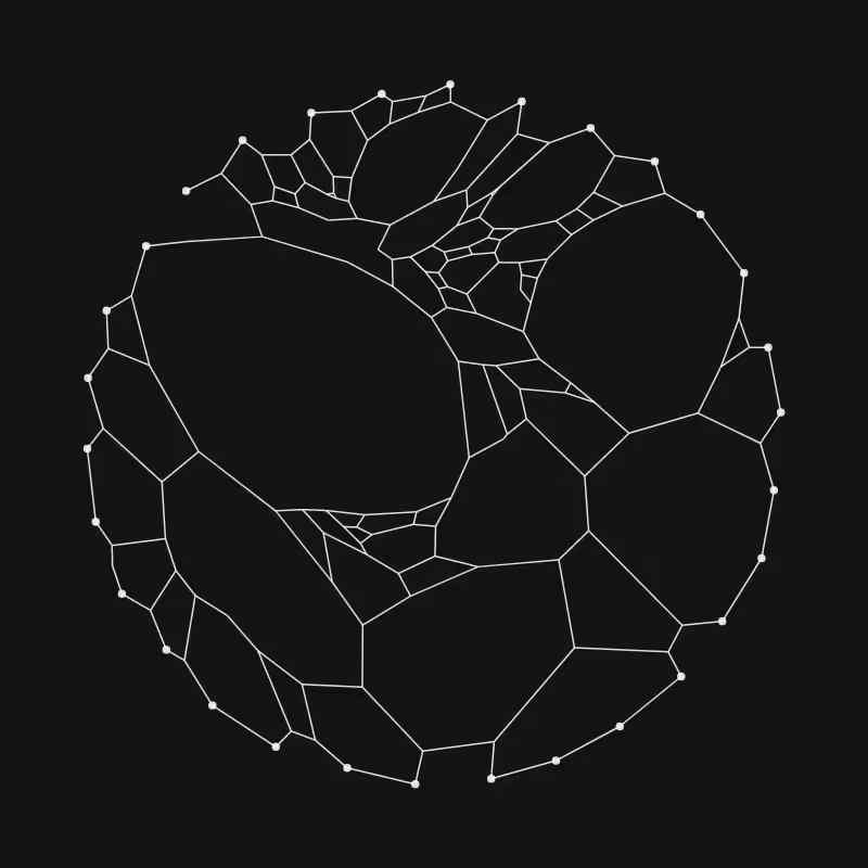 Elastic Web #303
