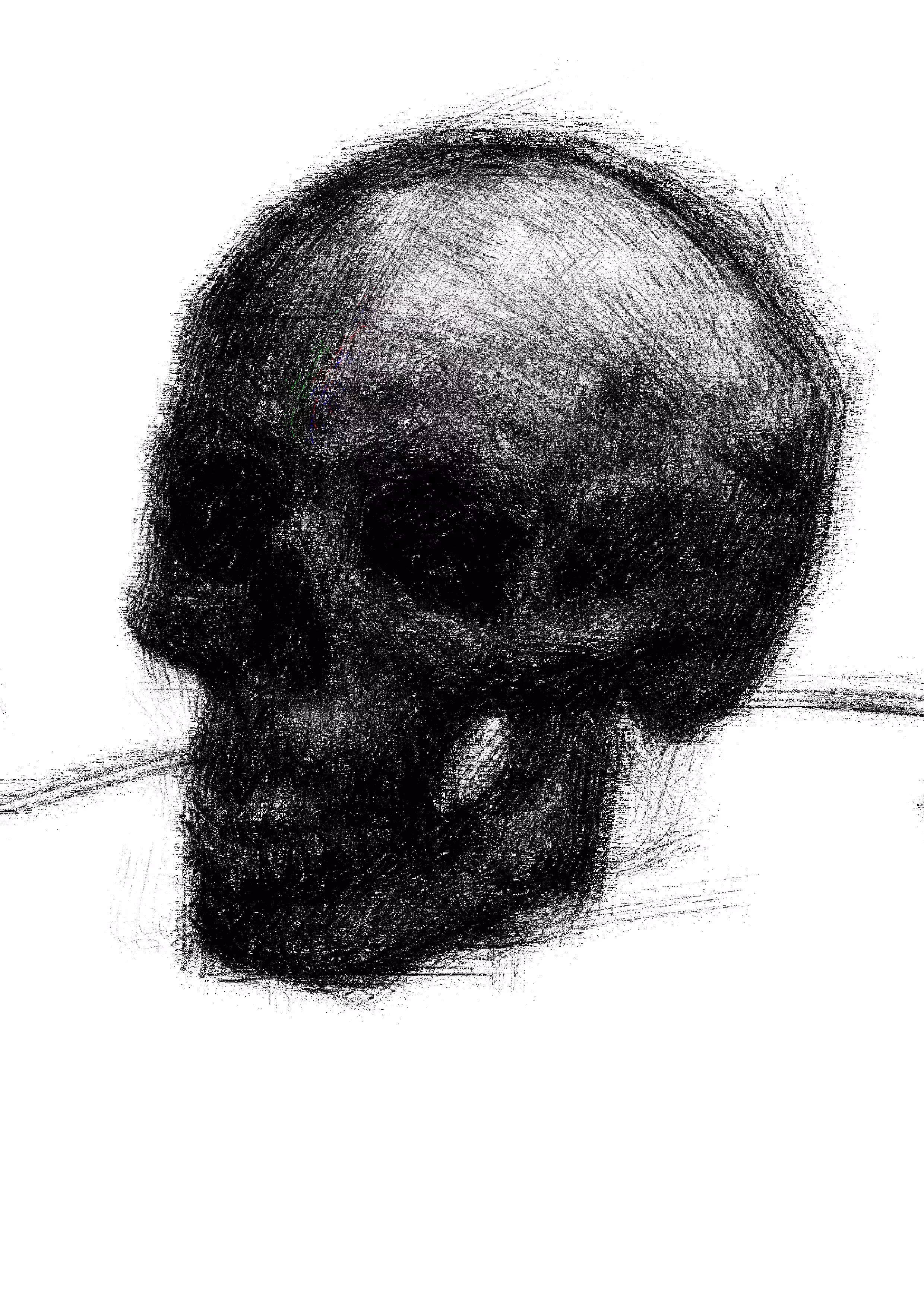 Skull Drawing 5