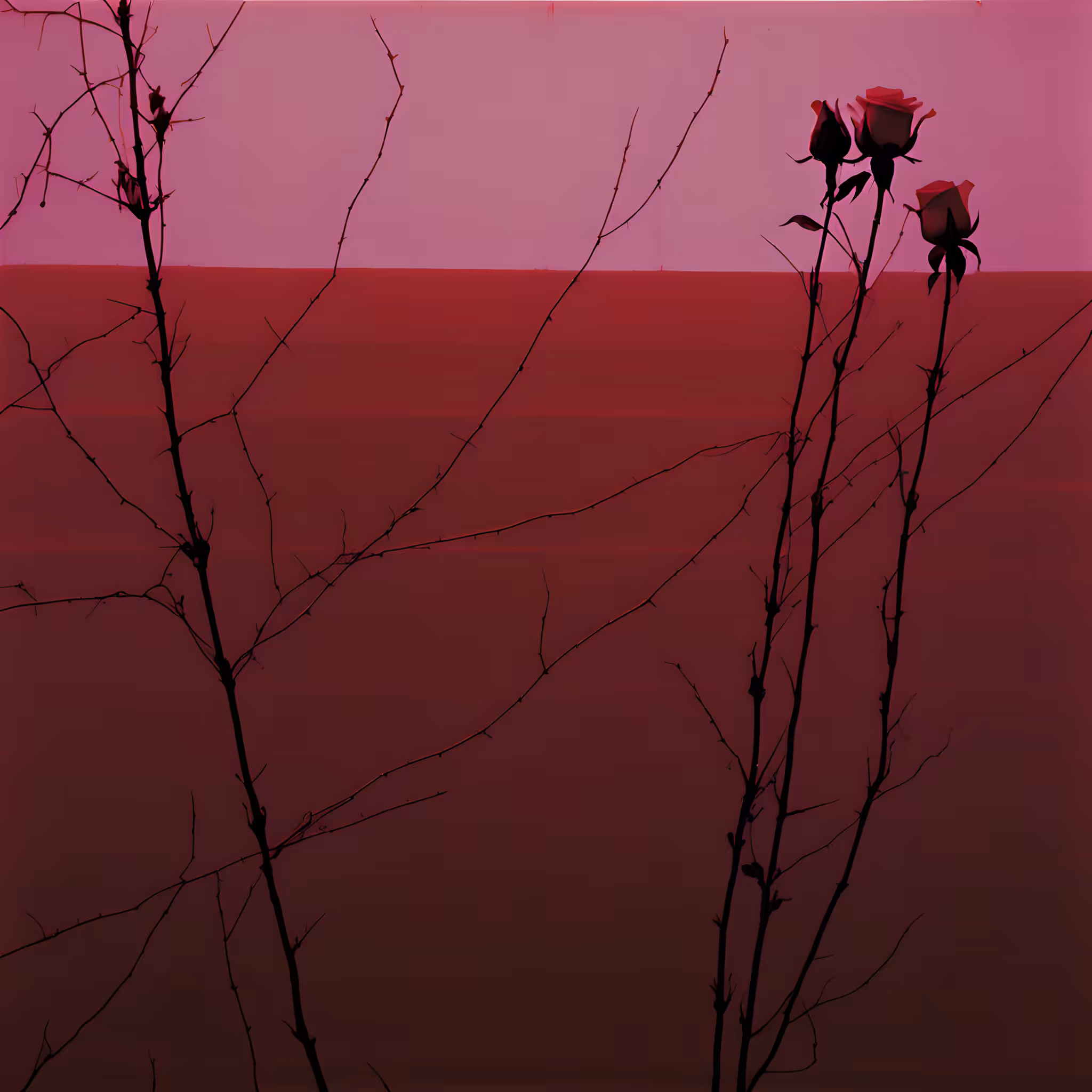 Between the hurricane and the wind #8