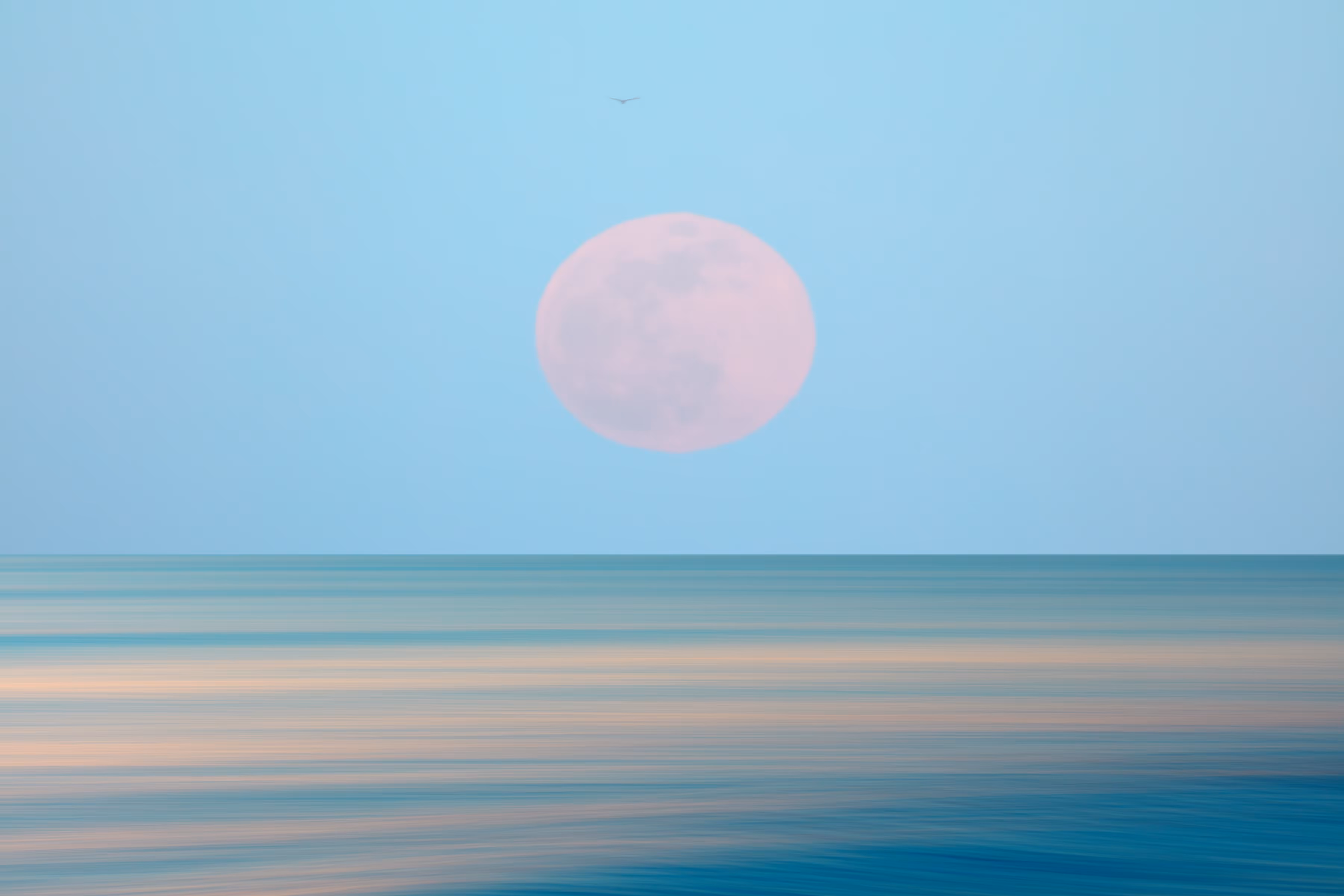 Pink Supermoon over Winthrop Beach with Pan Motion
