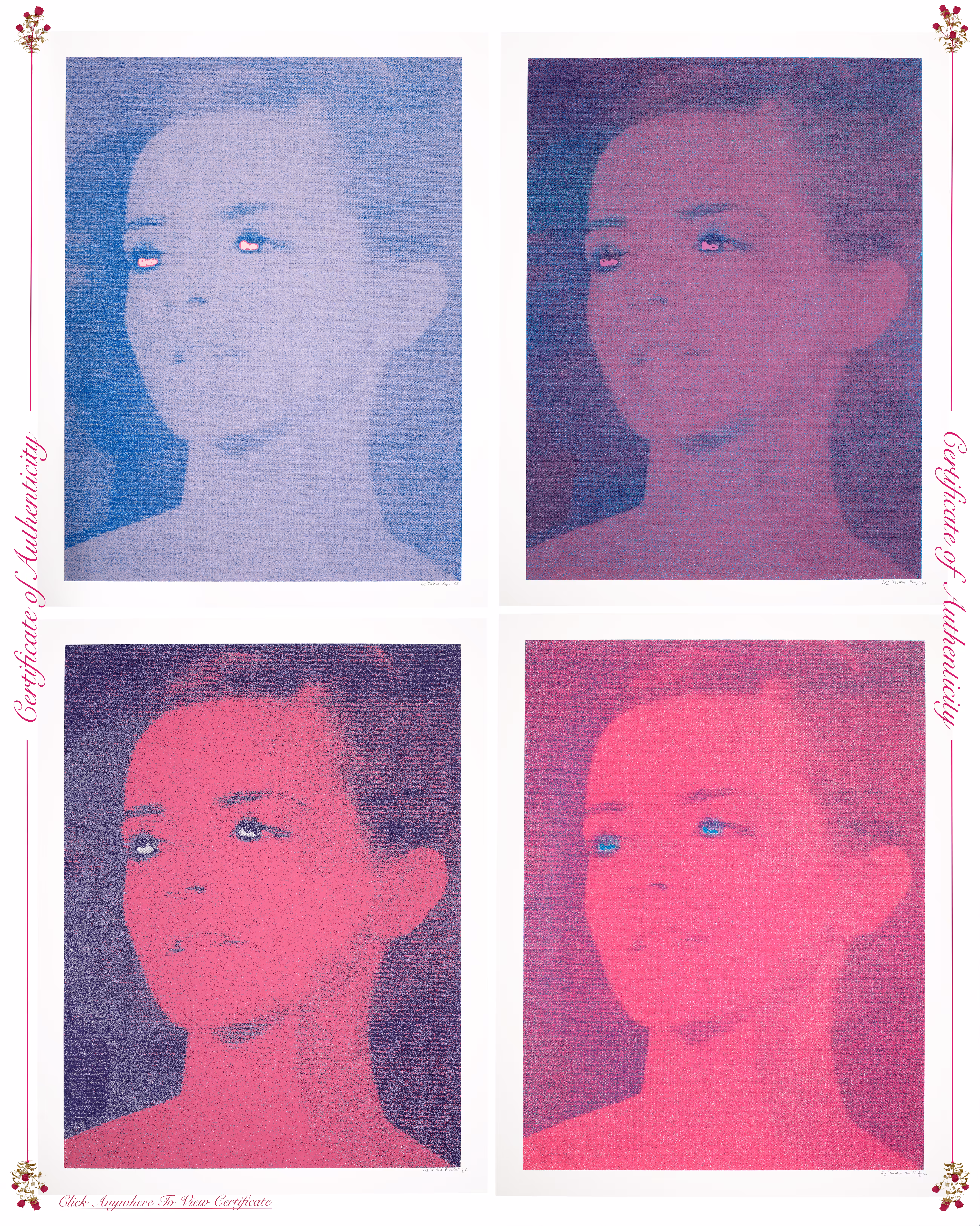 The Muse (Royal, Berry, French Rose, Magenta)