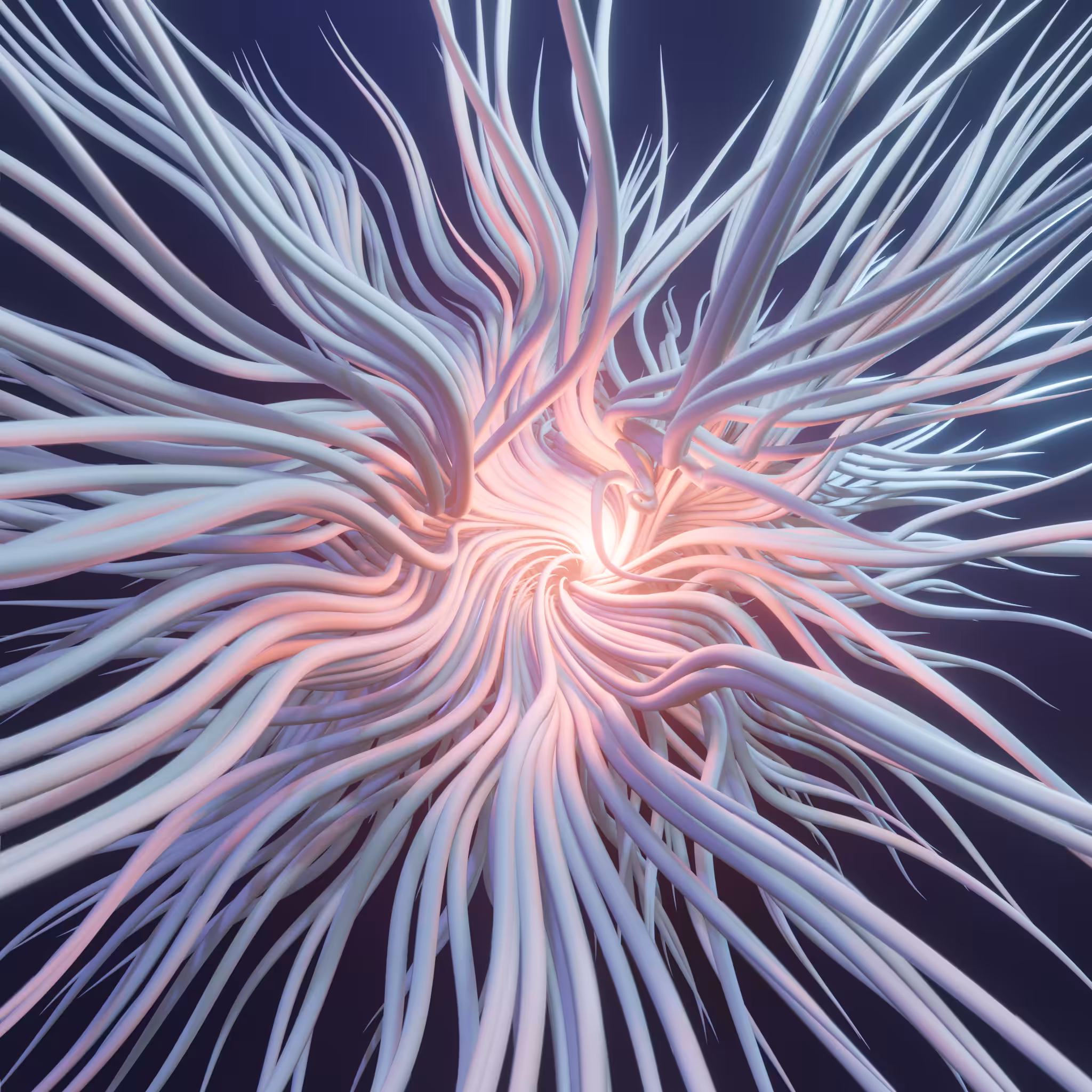 Wide Thomas Attractor #2