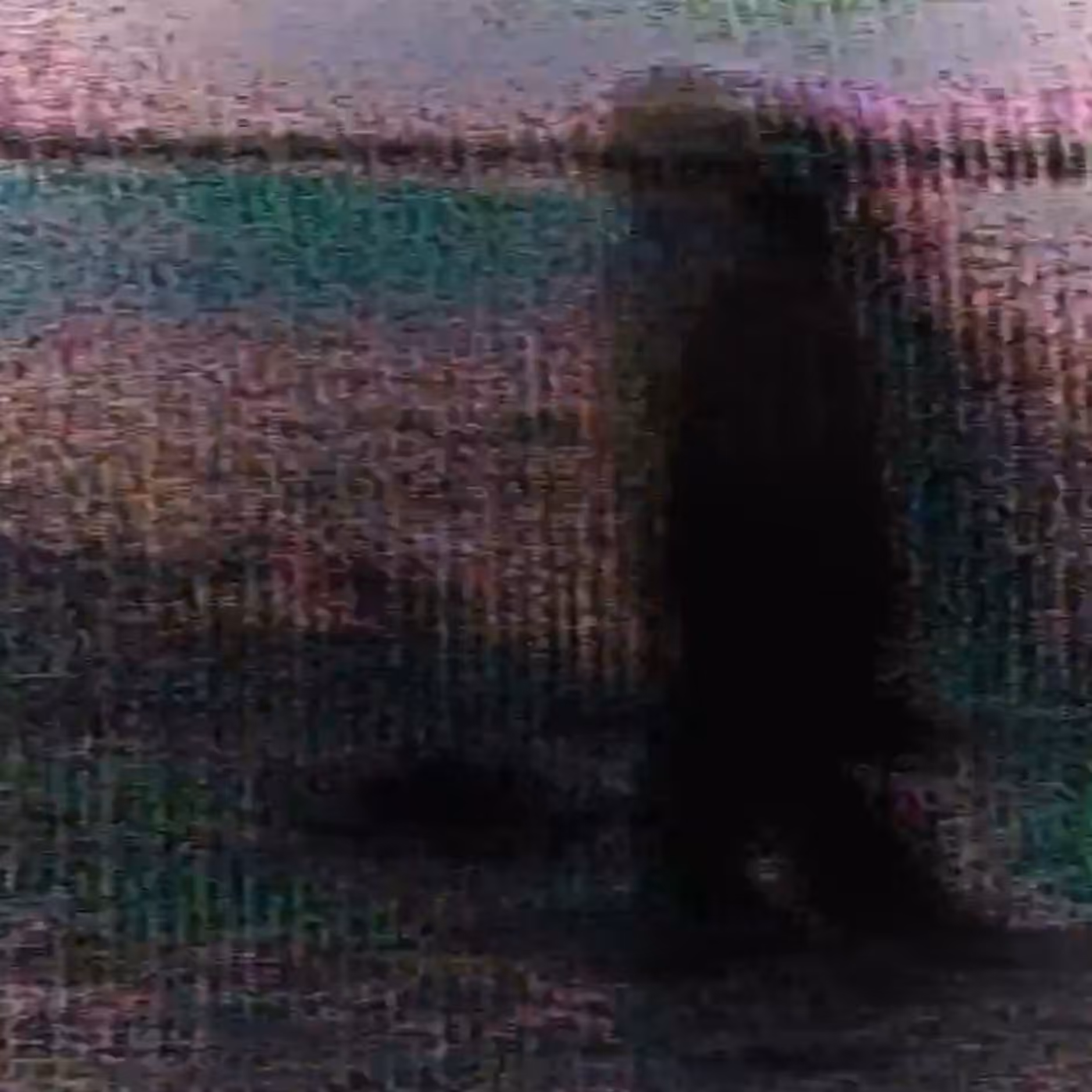 vhs dream 0045