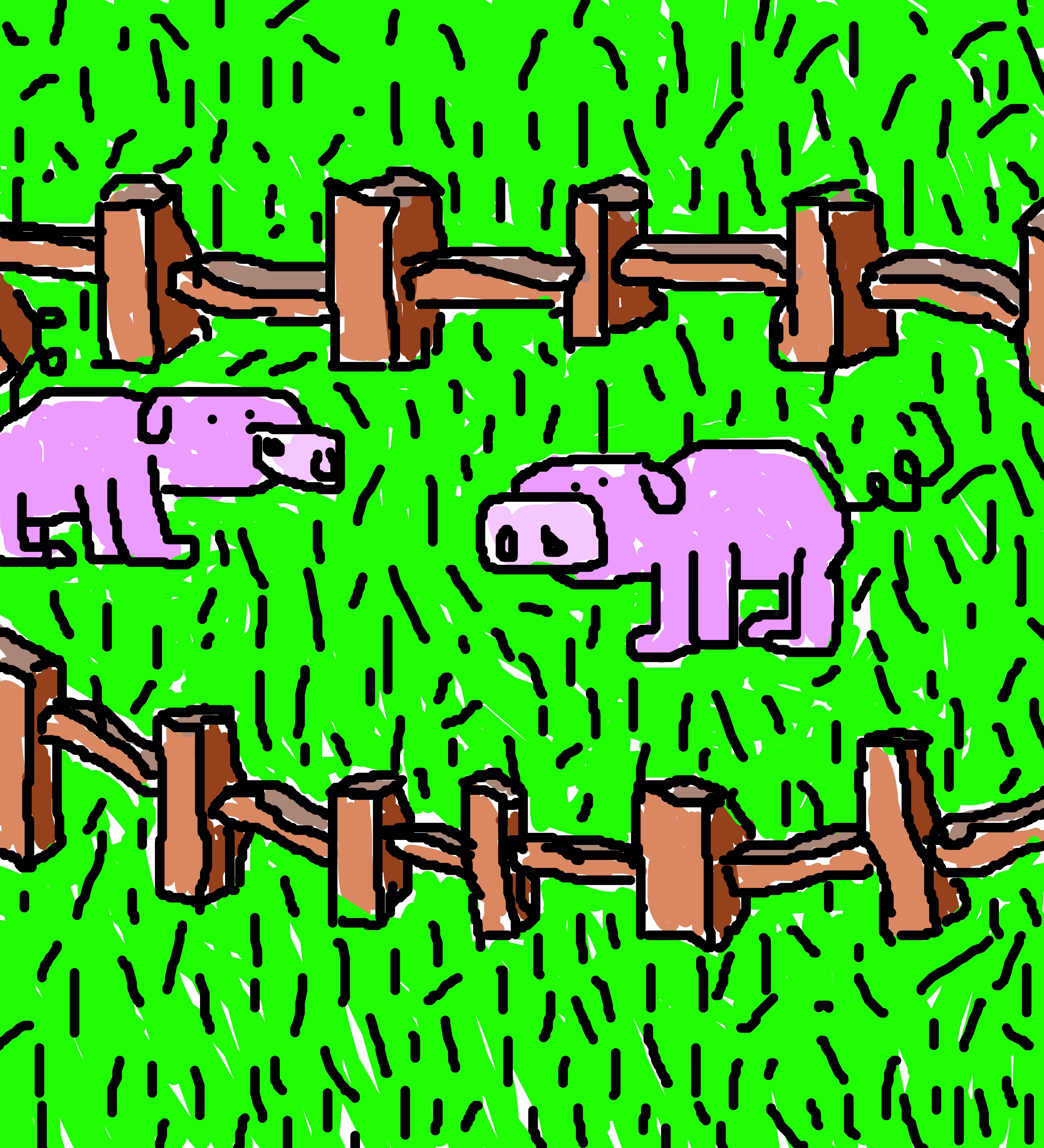 2 pigs