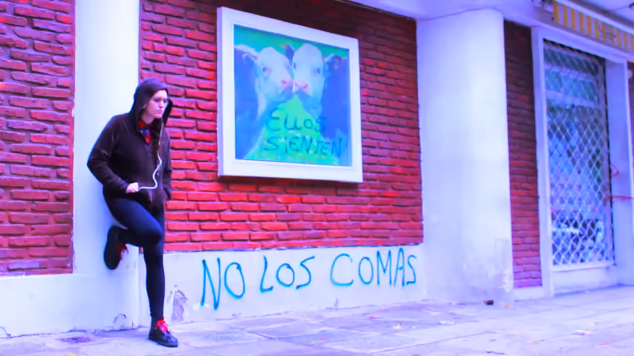 SONDAS - MUSIC VIDEO