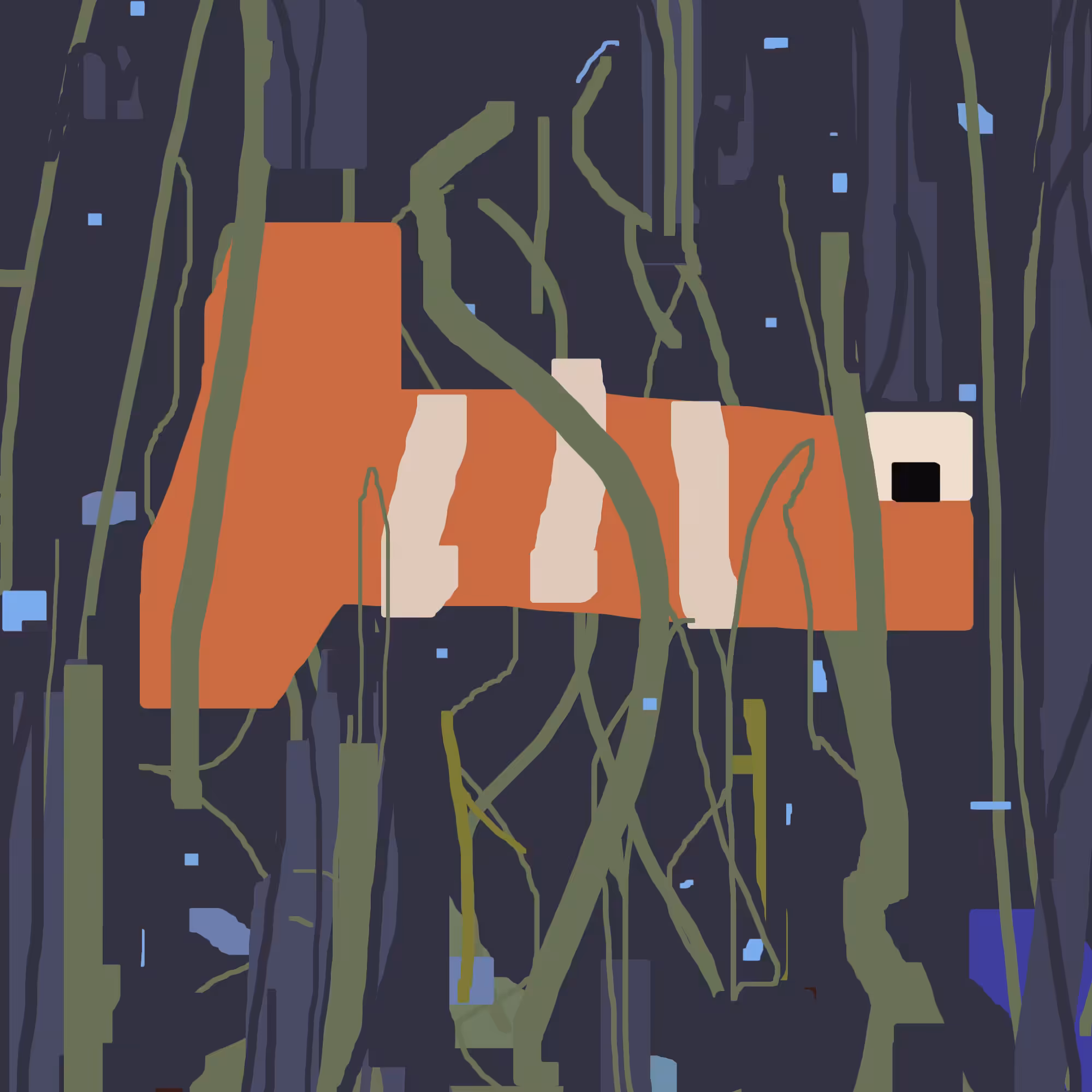 Nemo