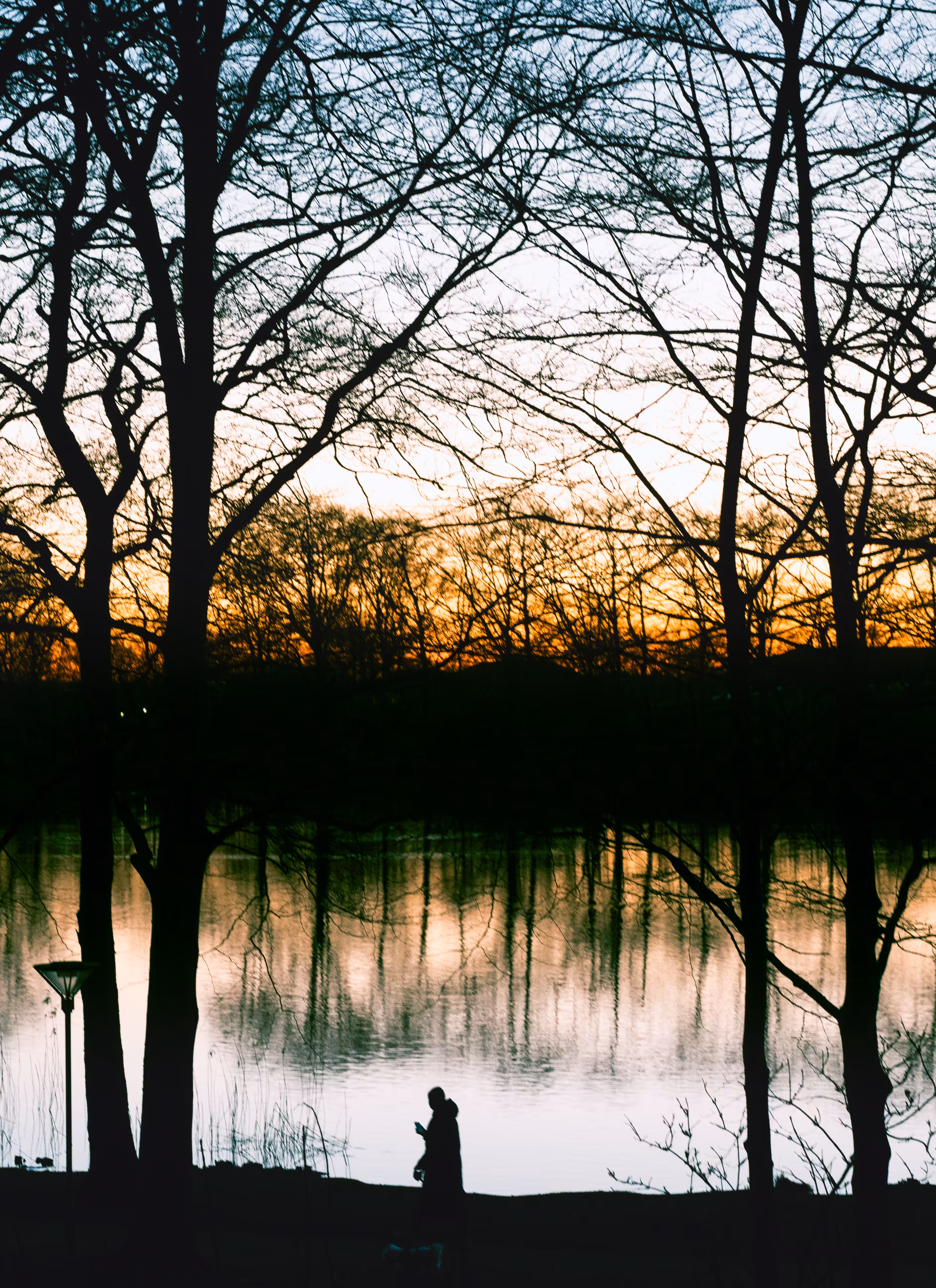 Walking The Dog