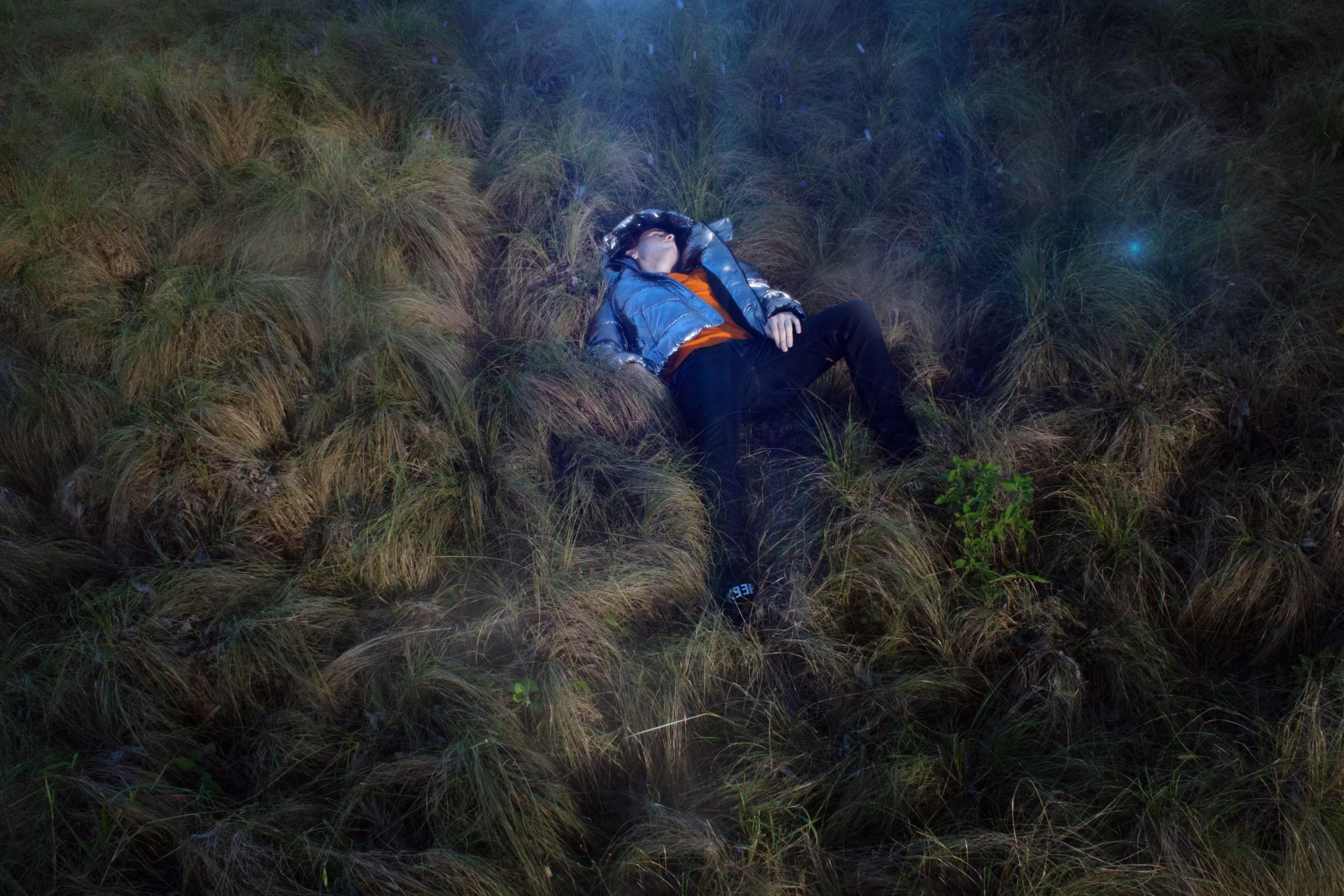 - I FREE FALL IN DREAMS.