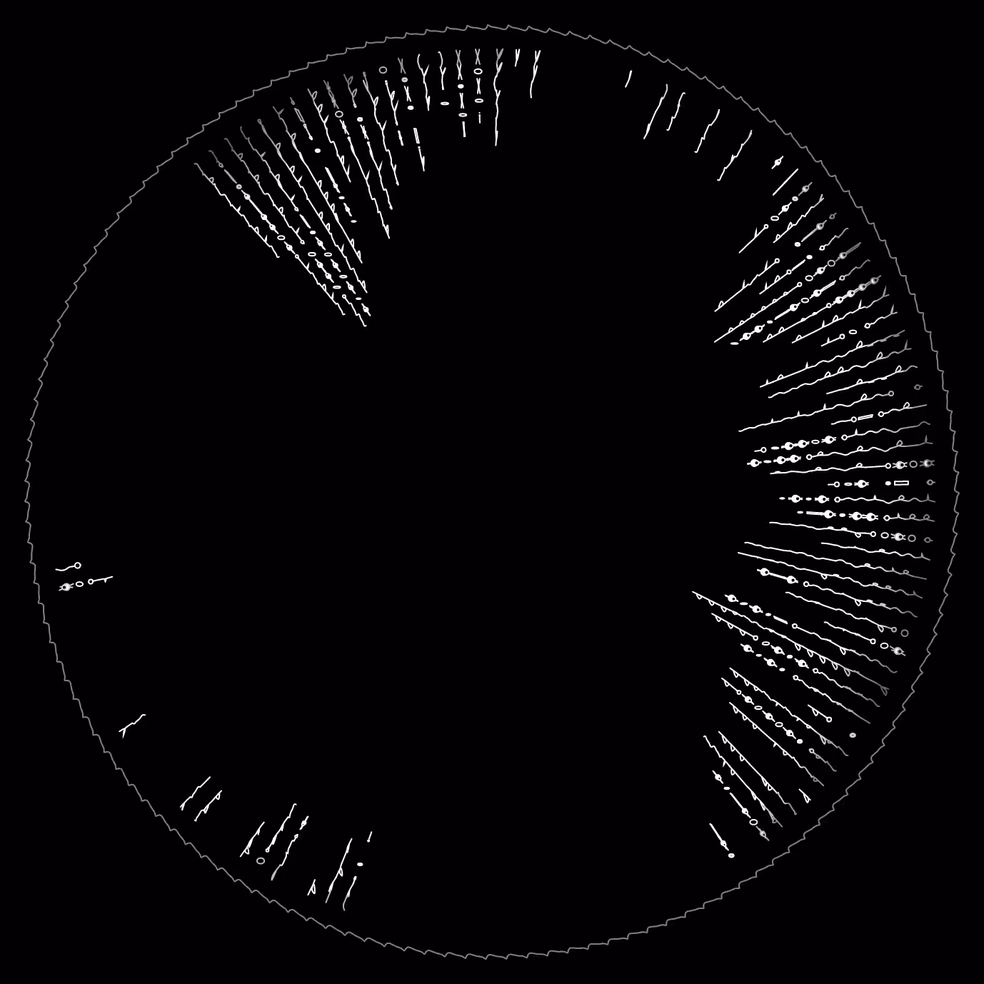 codex -1412609765.