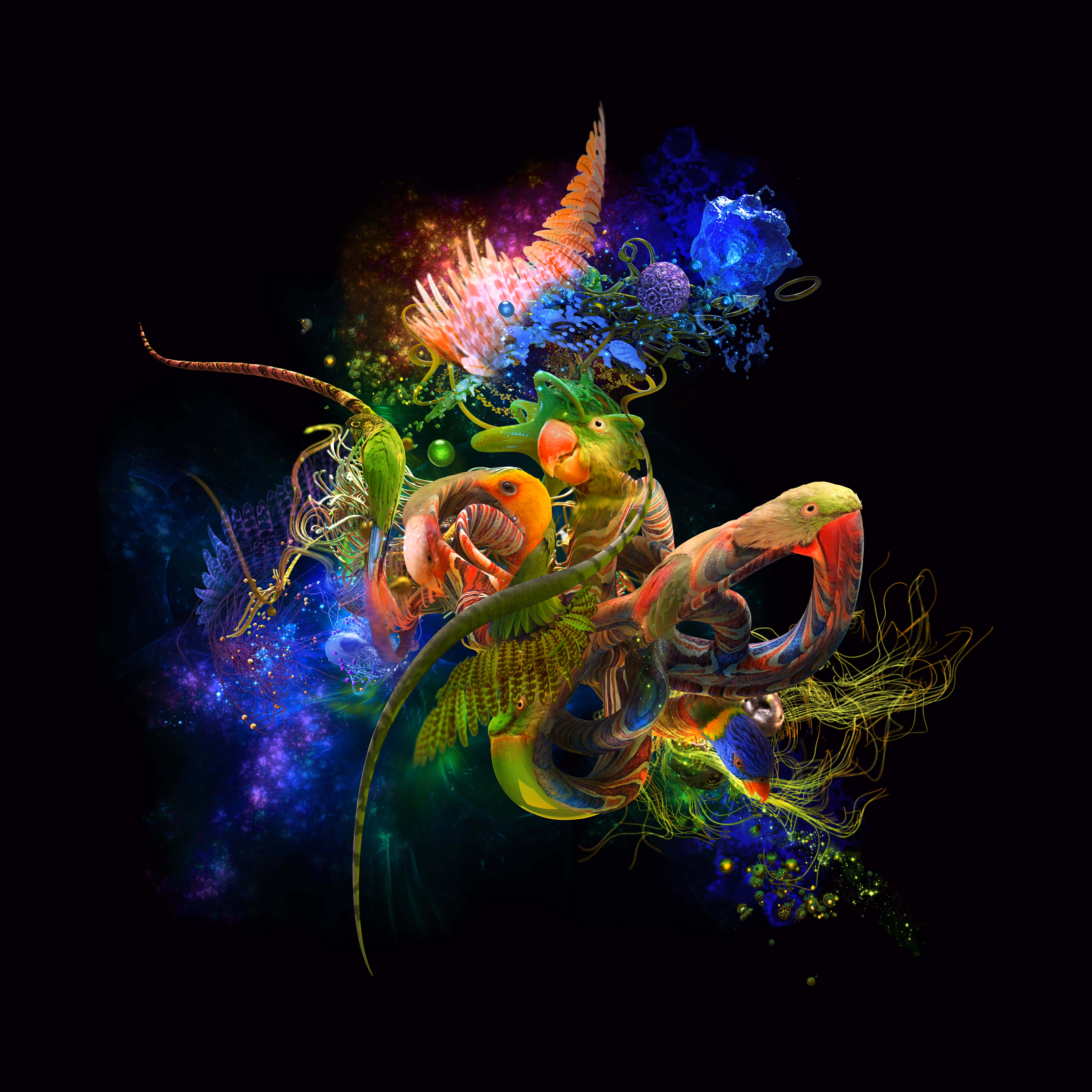Parrot Abstract