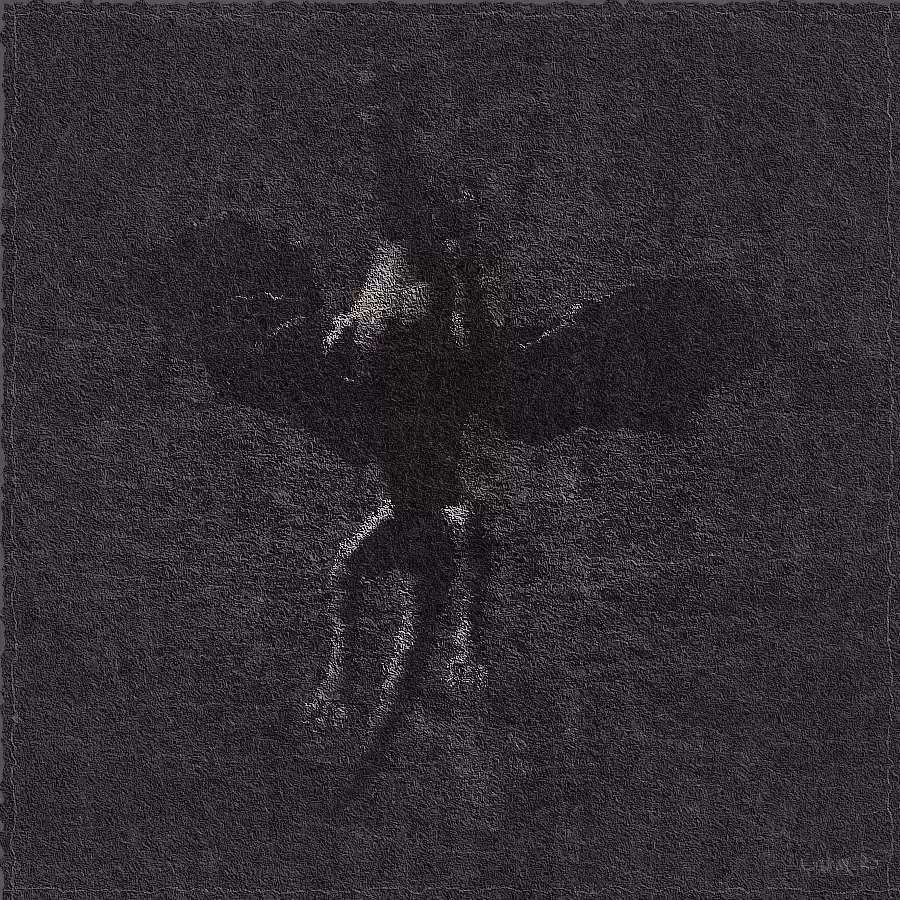 The Spirit of Dragon #33