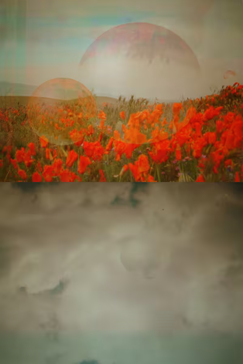 Siix Diptych
