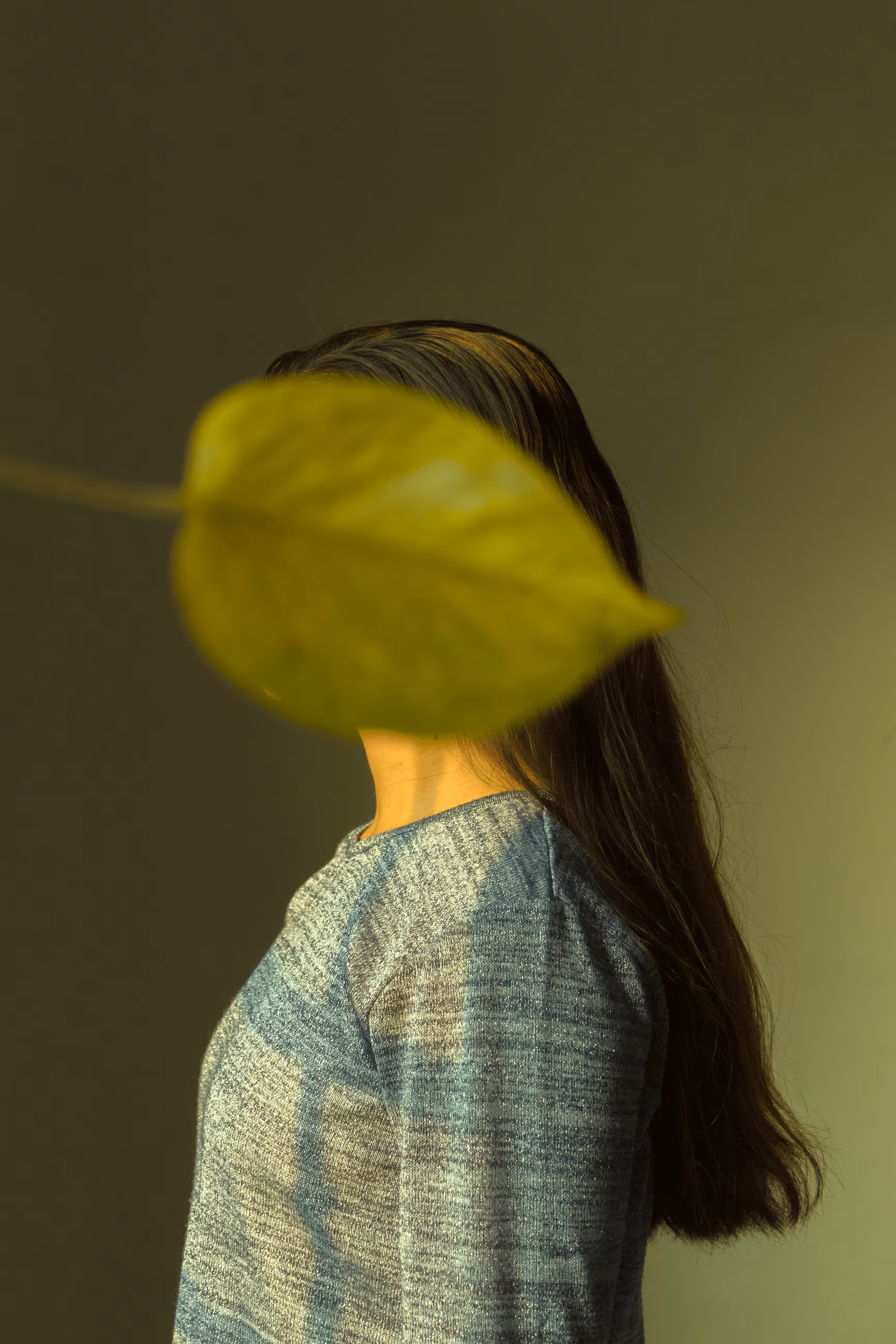 Leaf of Hope
