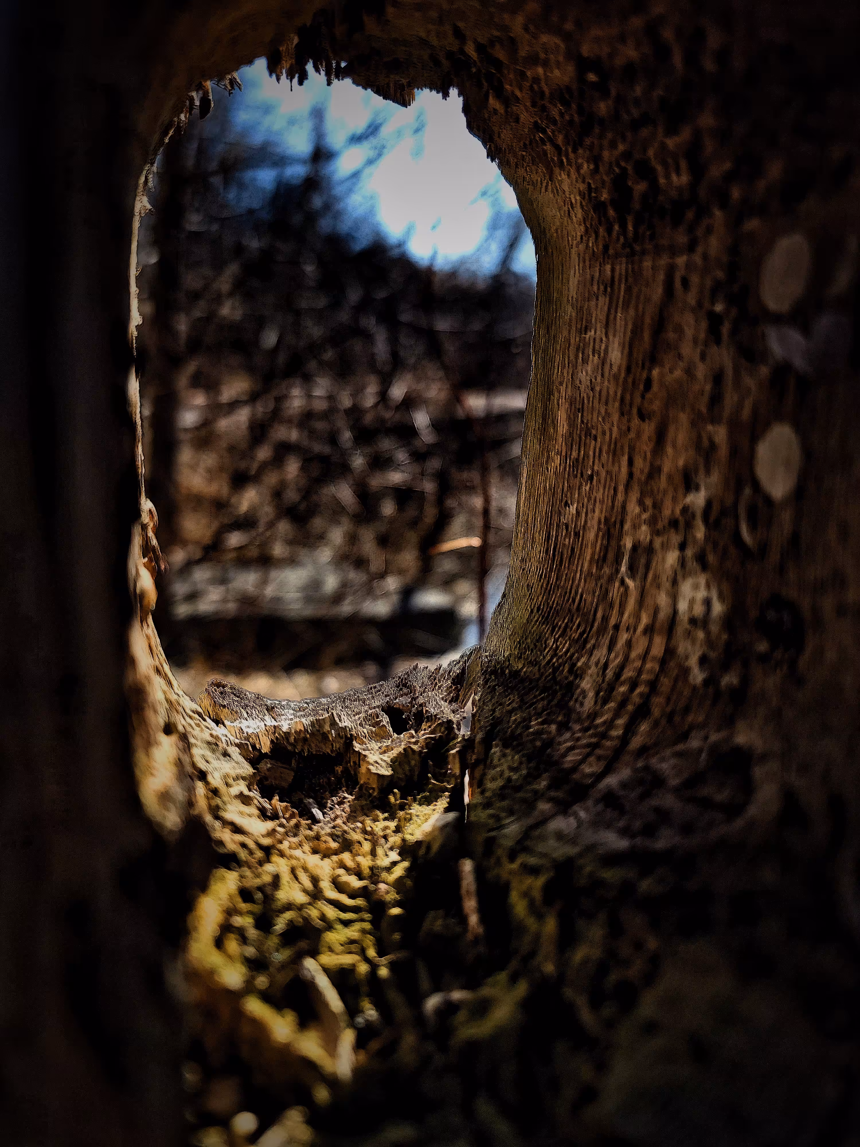 old fence post