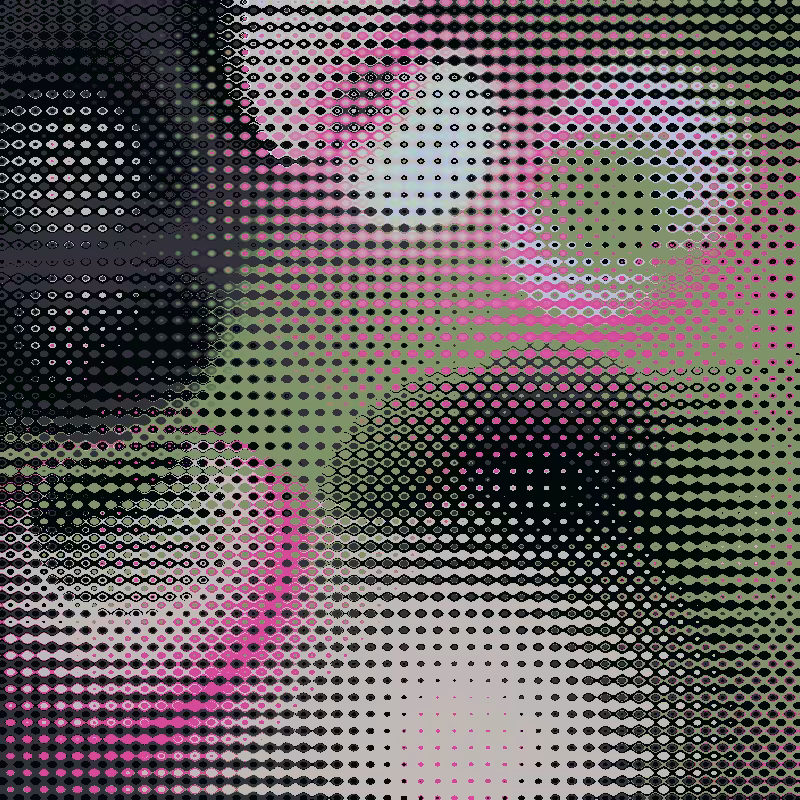 Focus #8
