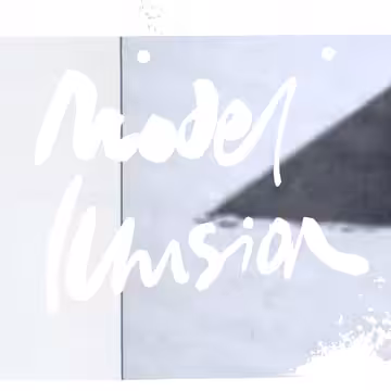 Model Illusion #23