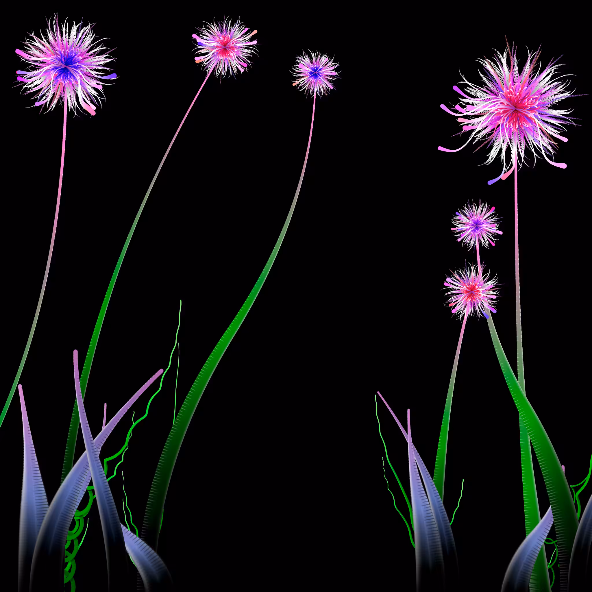 Milena’s Flowers #33