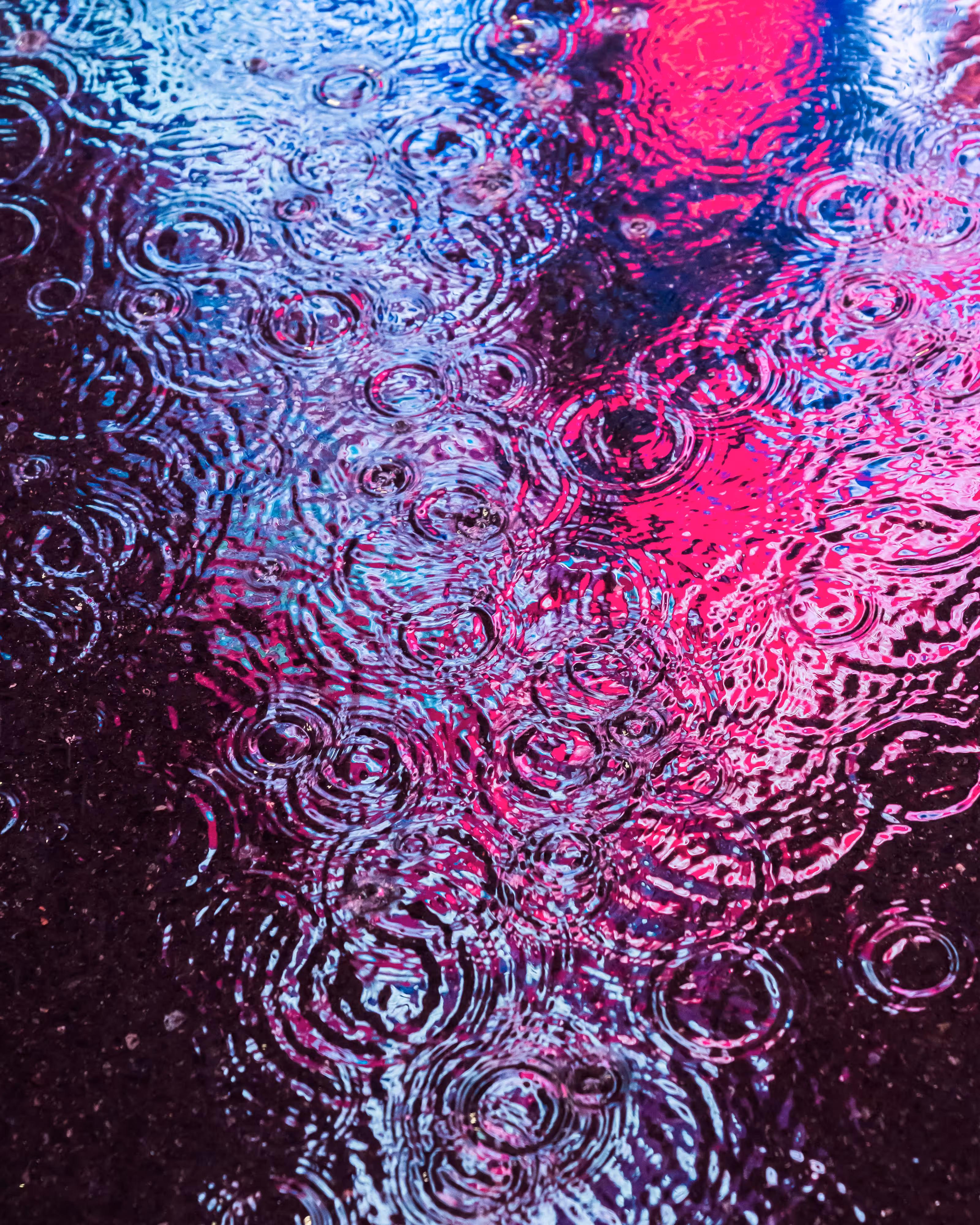 DRIP #486