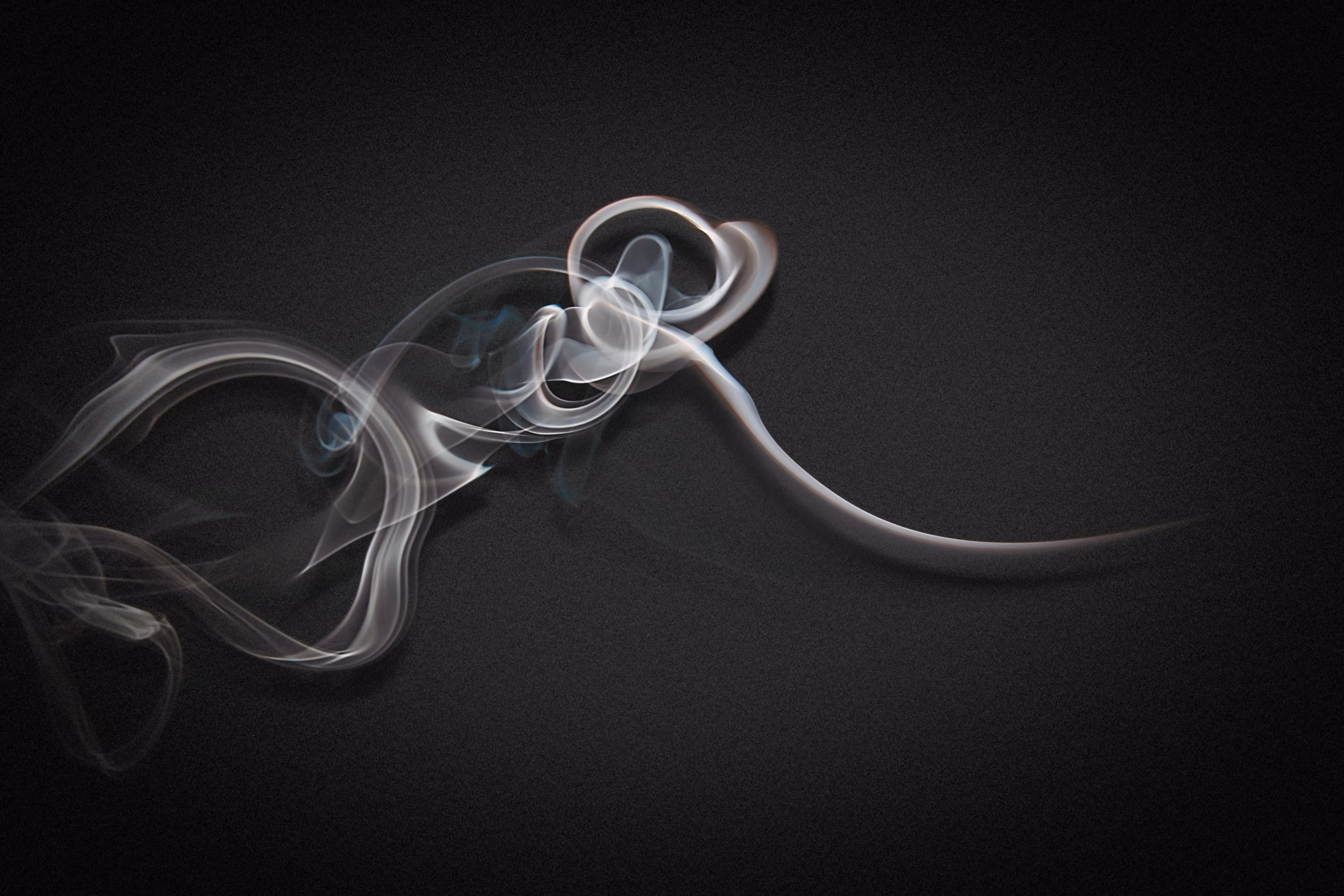 Mosquito