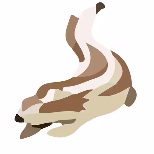 Pokemon TCG: Linoone #264