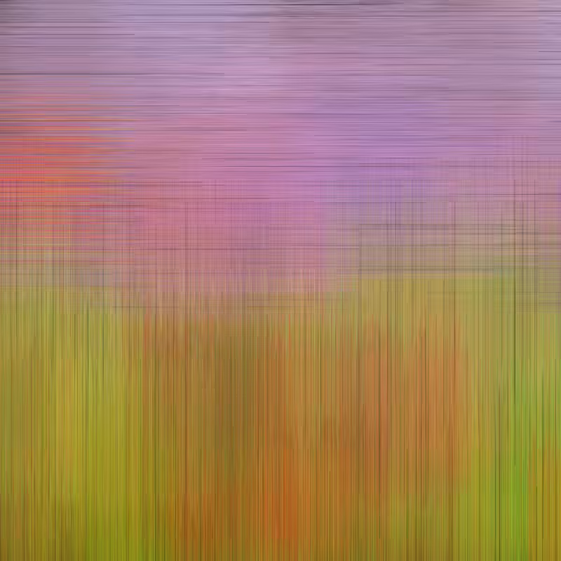 Hatch Field 003 #89