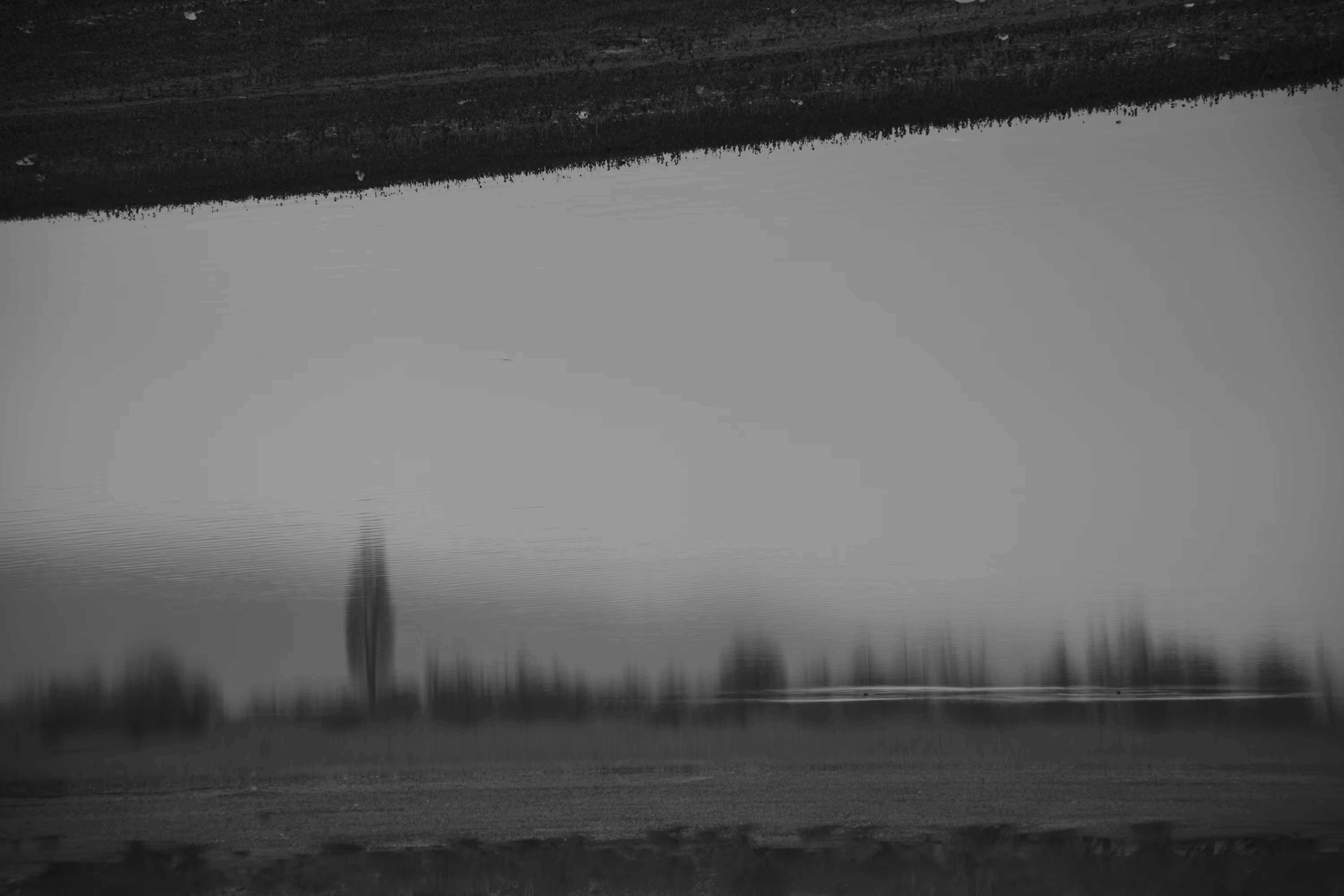 Landscape in the Mist